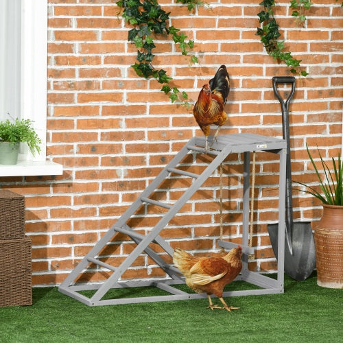 Chicken Swing Set with Perch & Ladder - Coop Enrichment Toy