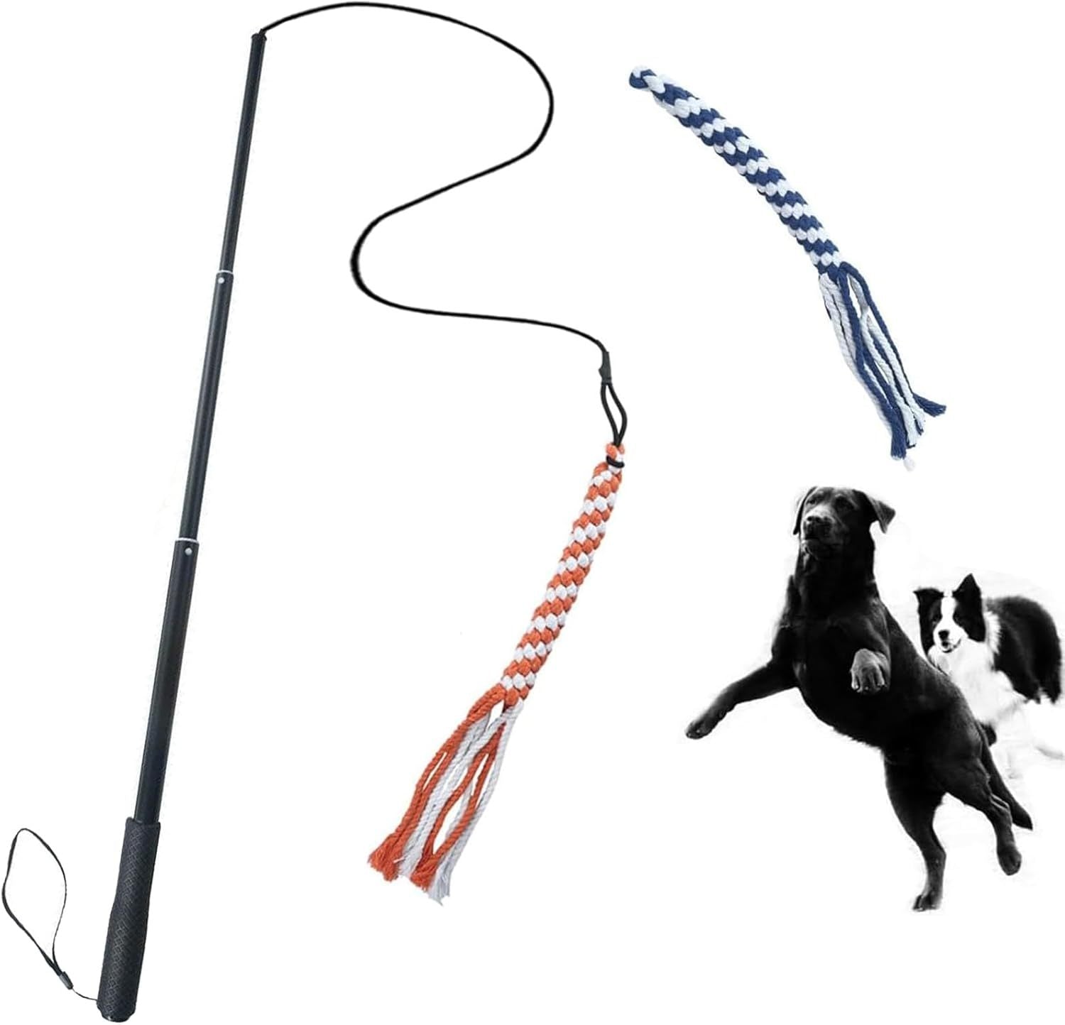 Extendable Dog Teaser Wand - Interactive Flirt Pole Toy
