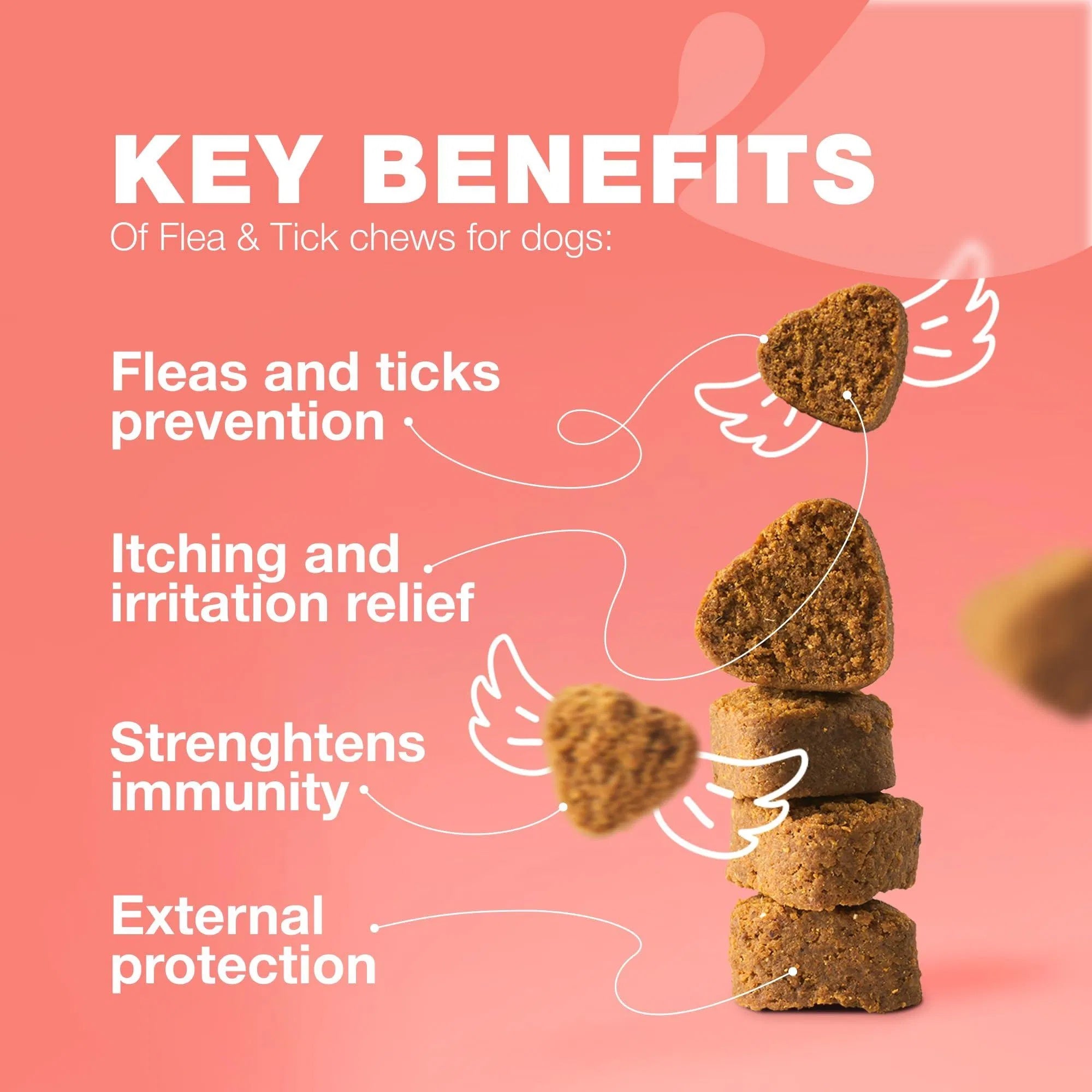 Natural Flea & Tick Prevention Chews for Dogs - Chemical-Free Immune Support Treats