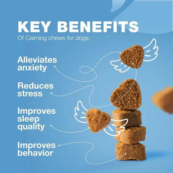 Hemp Calming Chews for Dogs – Natural Anxiety Relief Treats