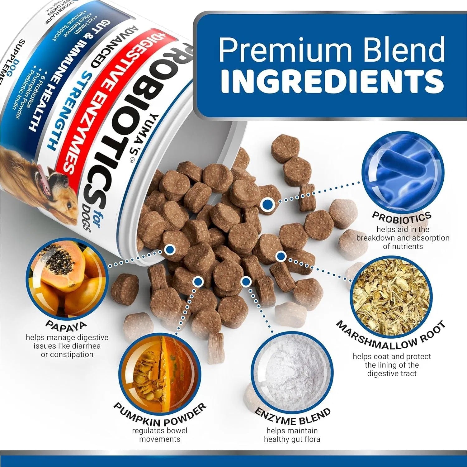 Probiotics for Dogs – 2 Pack Digestive Enzymes Chews (340 Total Chews)