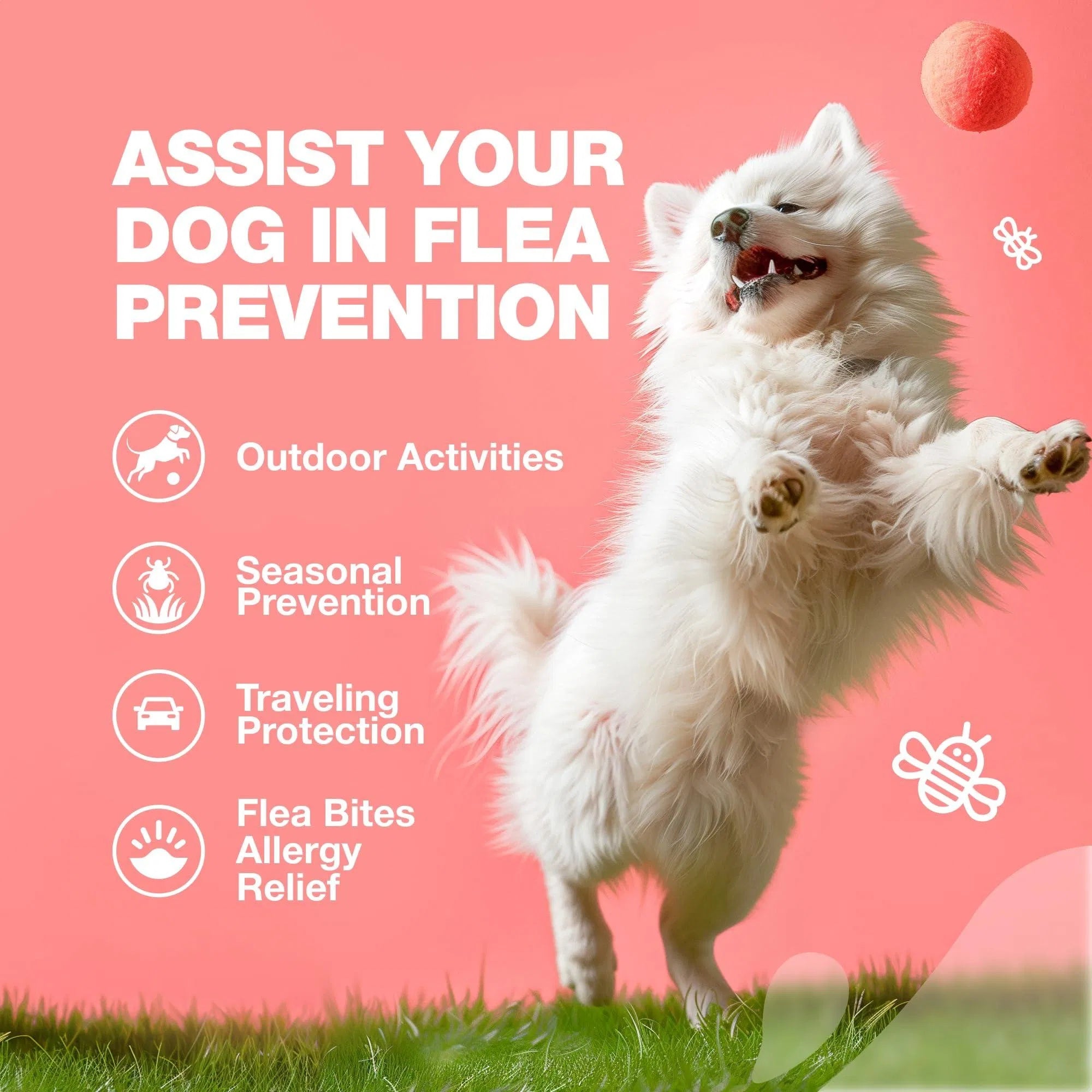 Natural Flea & Tick Prevention Chews for Dogs - Chemical-Free Immune Support Treats