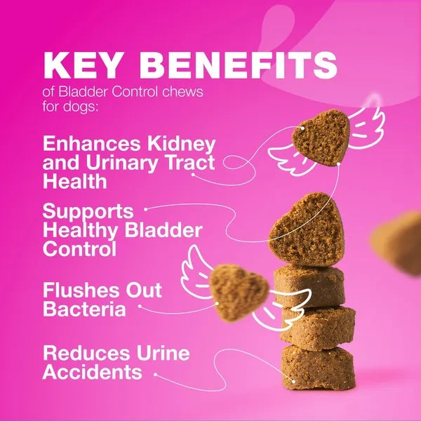 Dog Cranberry Supplement - UTI Treatment for Bladder & Kidney Health