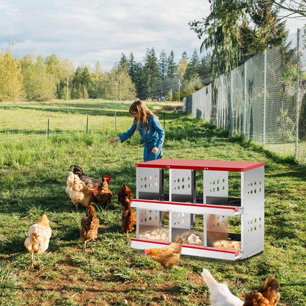 Premium 6-Compartment Chicken Coop - Red Iron Sloping Roof Design