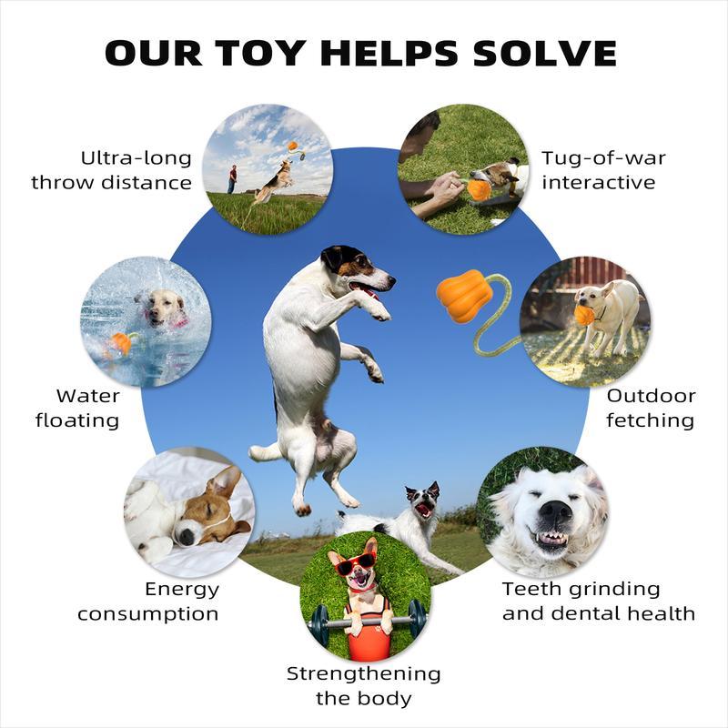 Dog Rope Fetch Toy for Medium & Large Dogs - Tug of War Training Toy