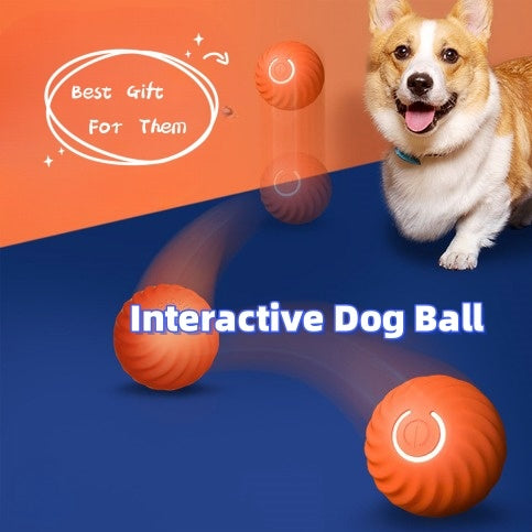 Durable Rubber Ball Dog Chew Toy
