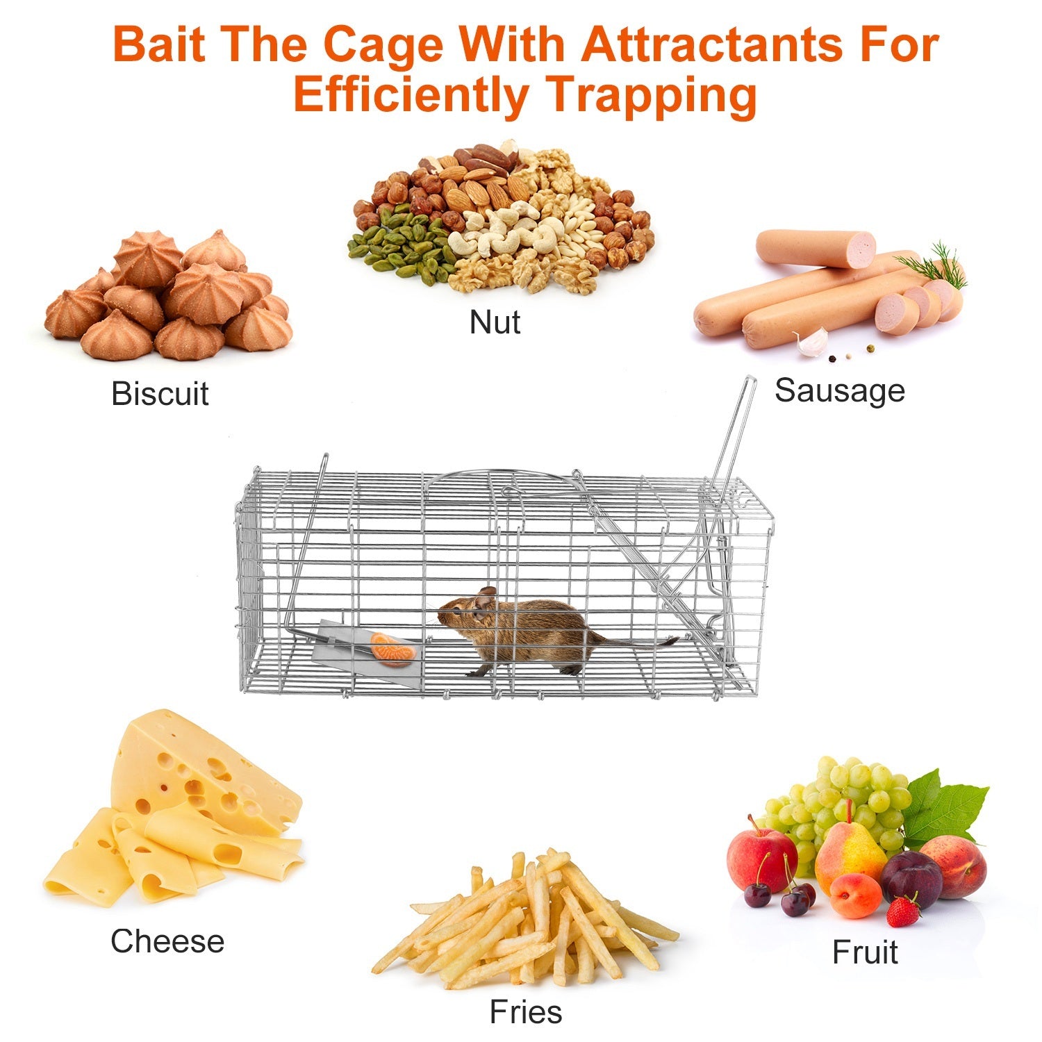 Humane Reusable Mouse Trap - Safe for Families, Children & Pets