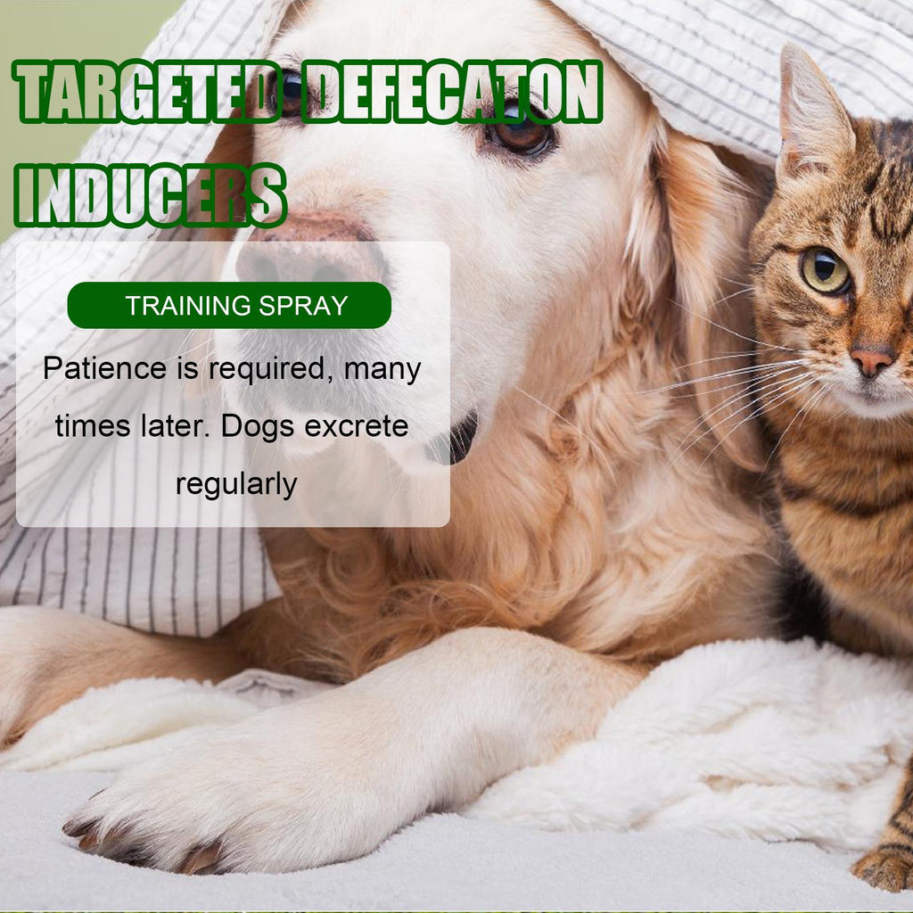 Pet Toilet Training Spray - Potty Training Aid for Dogs & Cats