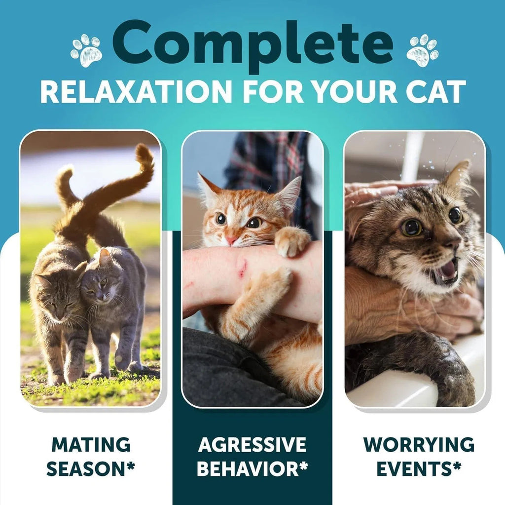 Hemp Cat Calming Treats – Stress & Anxiety Relief with Melatonin for Cats & Kittens