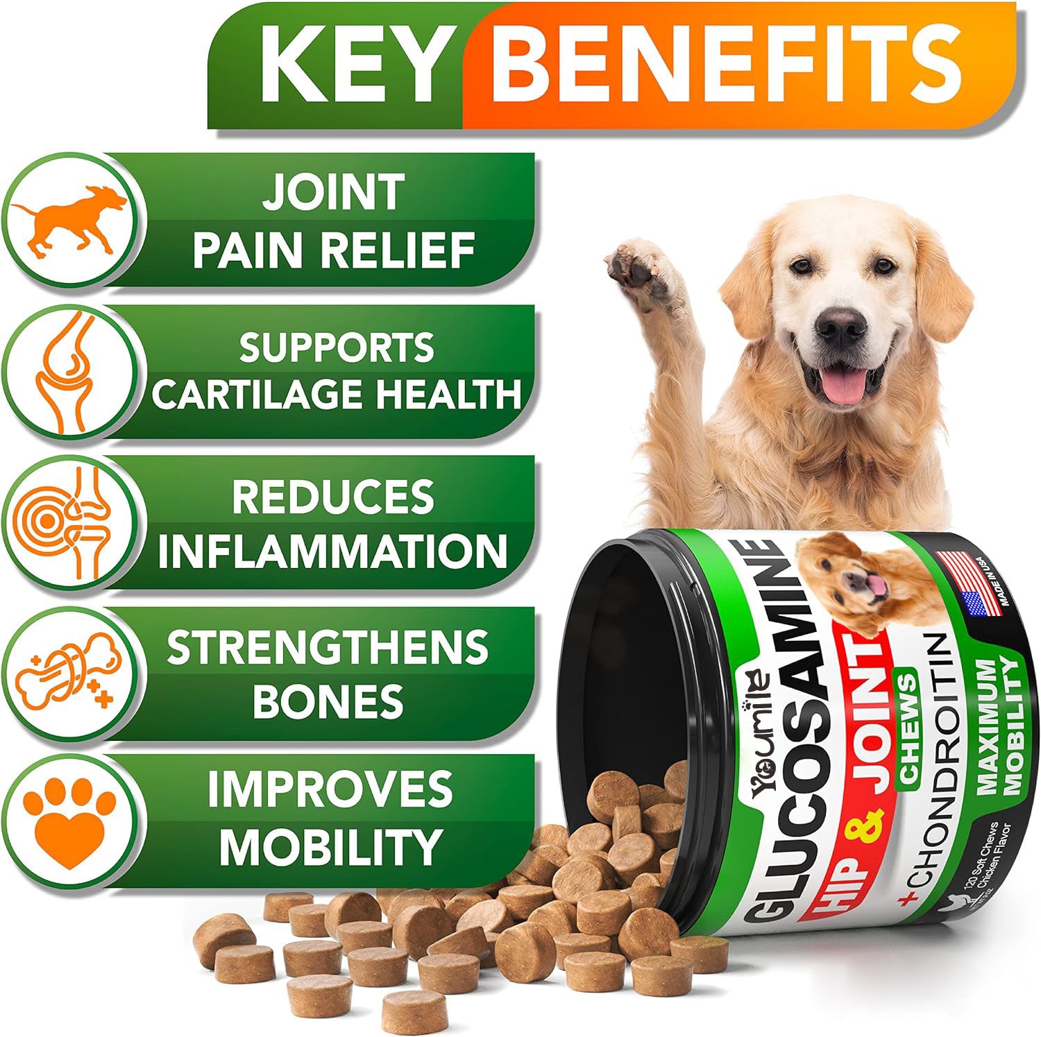 Pet Hip & Joint Support Supplement with Chondroitin – Mobility Formula for Dogs