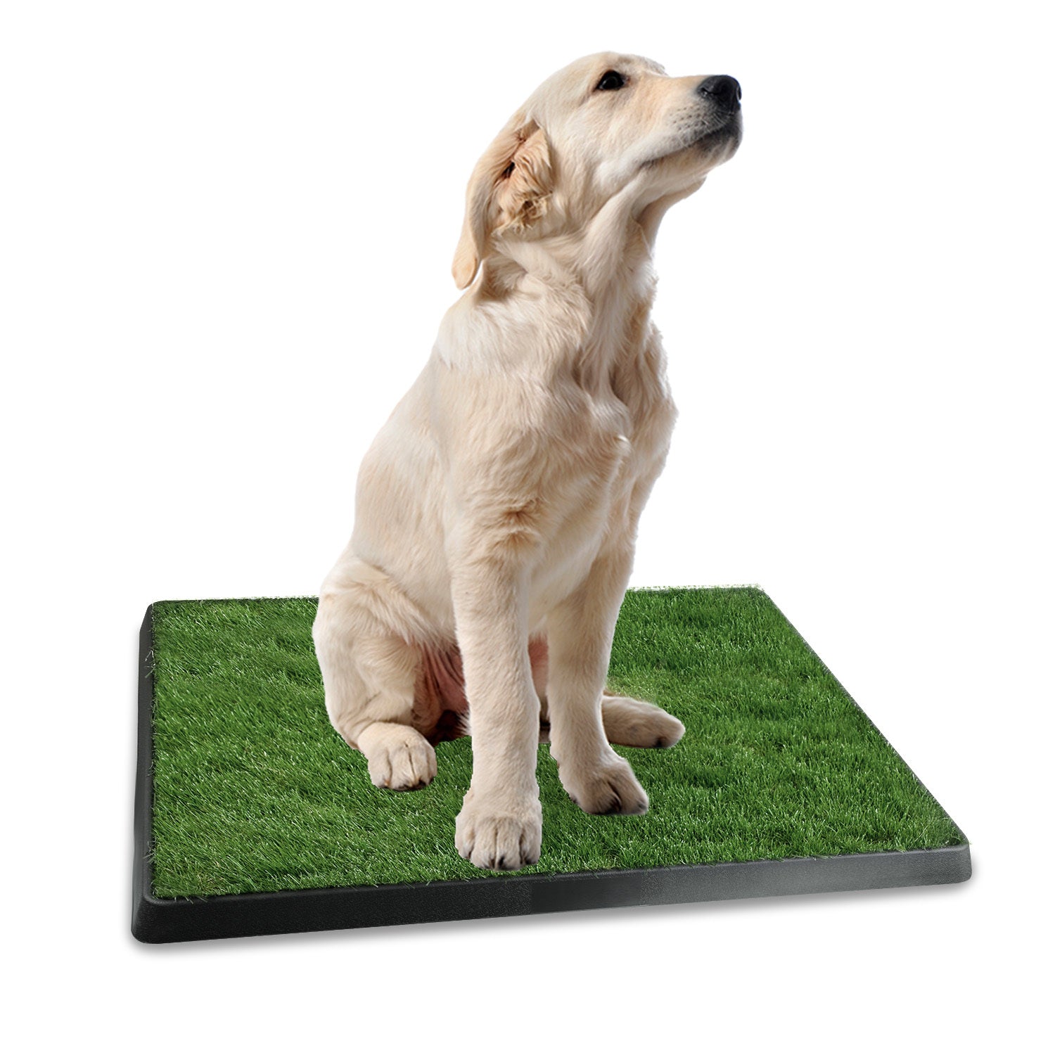 Dog Potty Training Grass Pad - Indoor/Outdoor Pet Toilet Mat