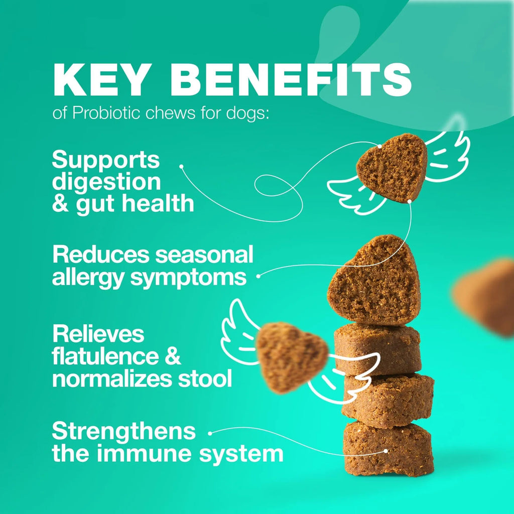 Probiotics for Dogs – Gut Health, Immunity & Allergy Support (180 Chews)