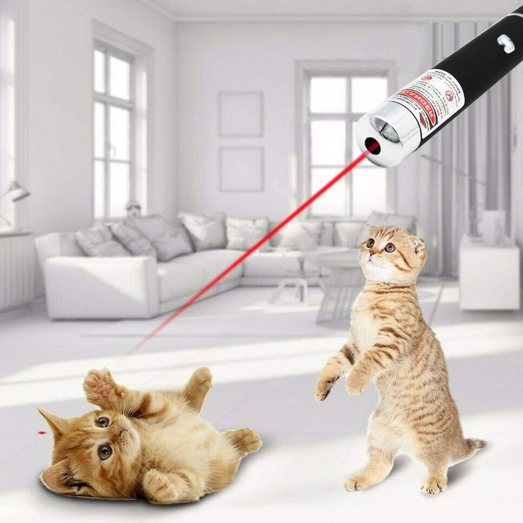 Red Laser Pointer Pen for Cats 10 pcs - Interactive Pet Toy