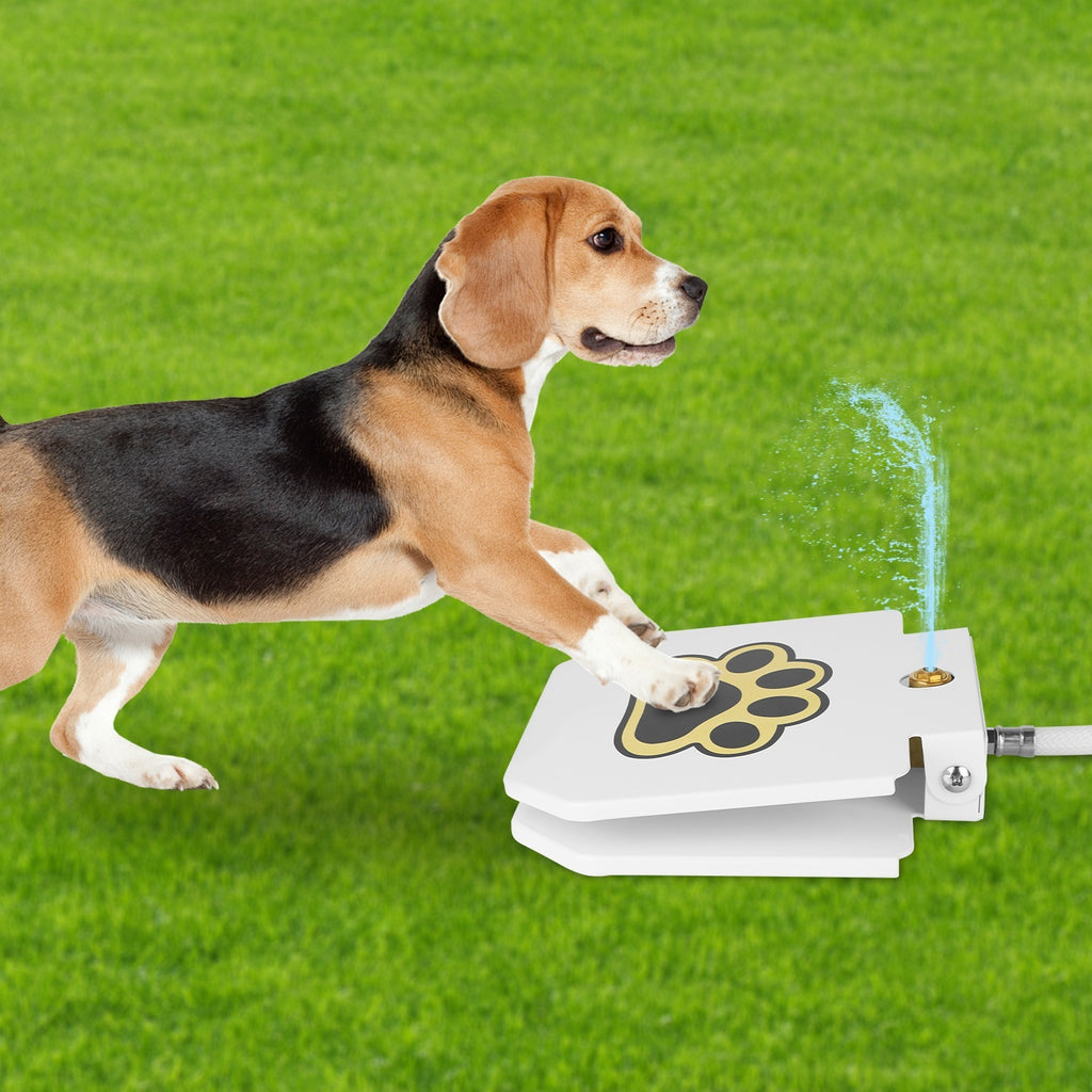 Outdoor Dog Water Fountain - Step-Activated Pet Drinking Dispenser