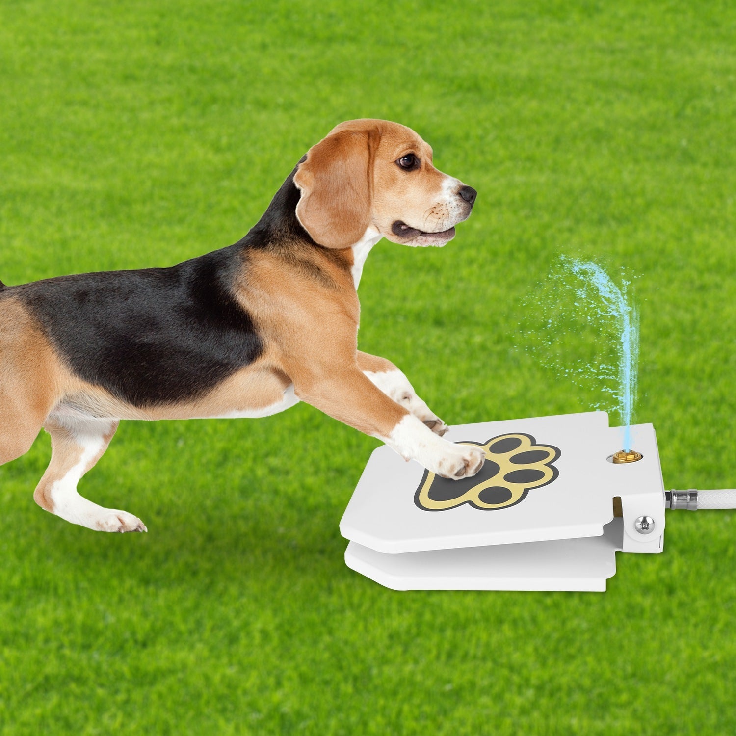 Outdoor Dog Water Fountain - Step-Activated Pet Drinking Dispenser