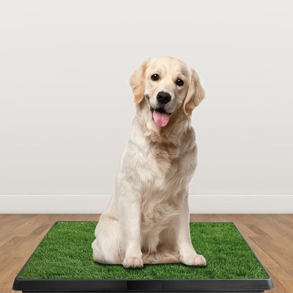 Dog Potty Training Grass Pad - Indoor/Outdoor Pet Toilet Mat
