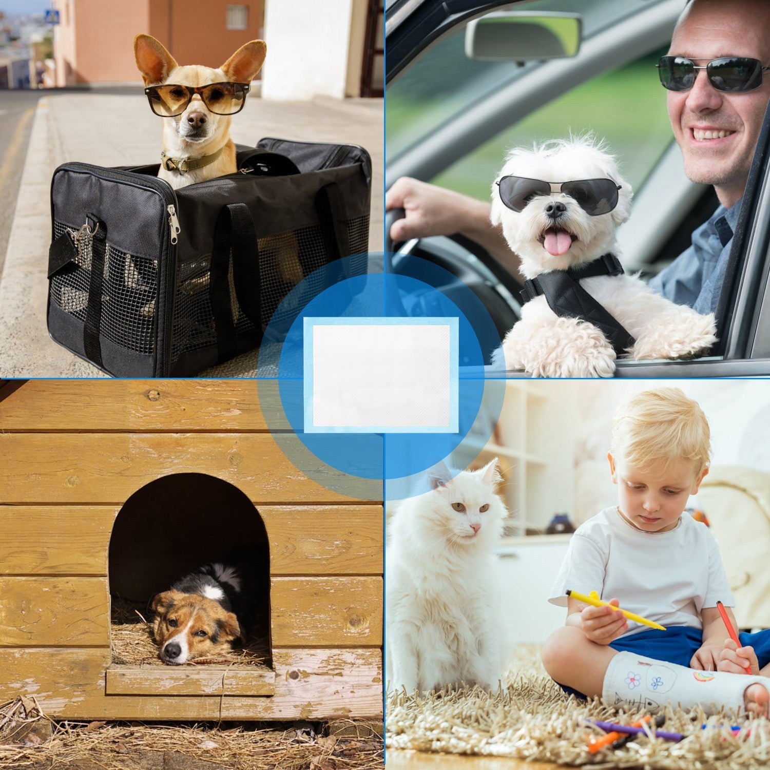 Dog Training Pads - 50 Pack Puppy Pee Pads (24" x 18")