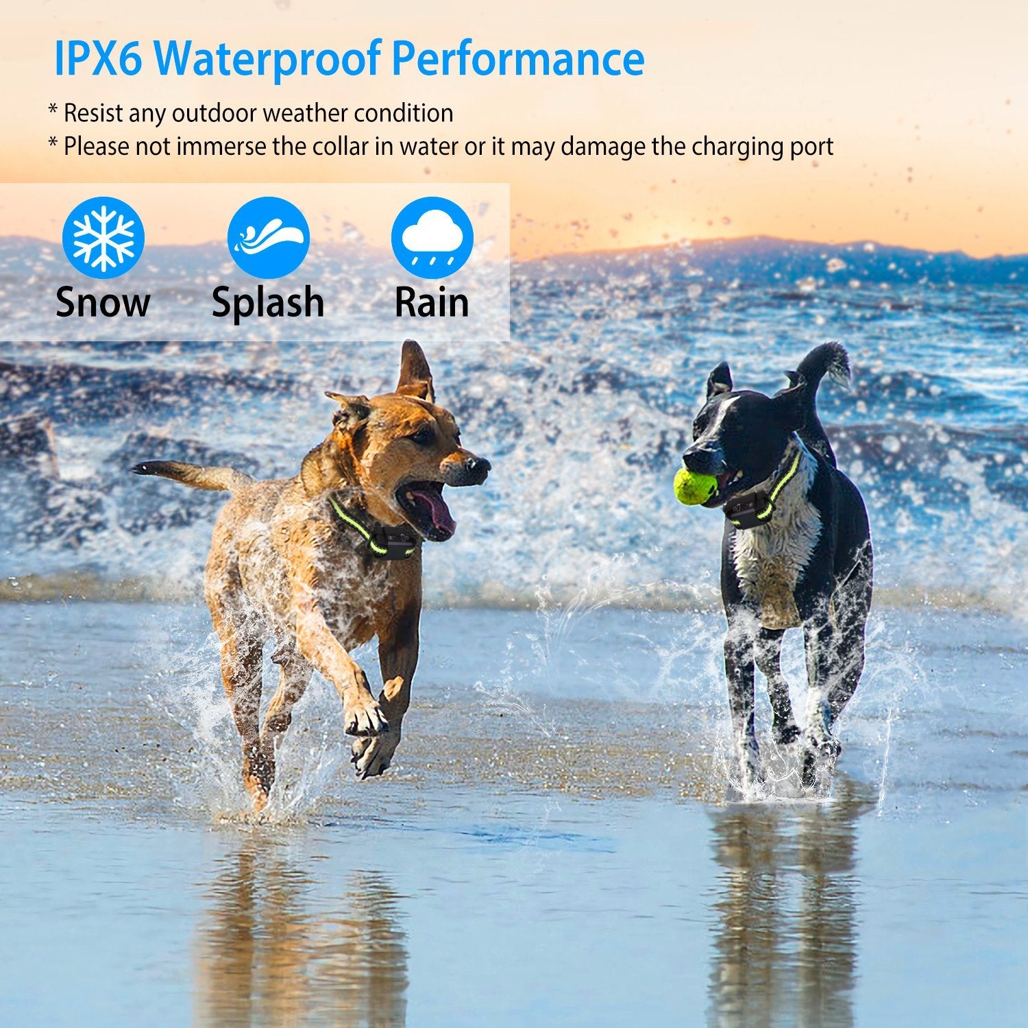 Rechargeable Dog Bark Collar - Waterproof with Beep, Vibration & Static Modes