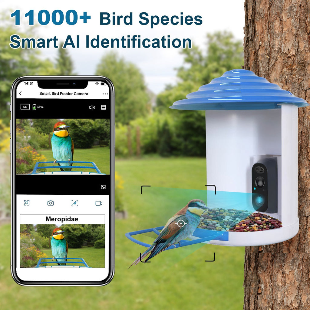 Smart Solar Bird Feeder with HD Camera