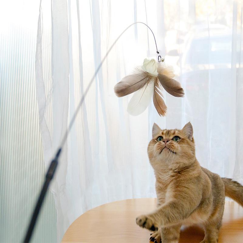 Retractable Laser Cat Teaser Wand - Interactive Toy with Balls