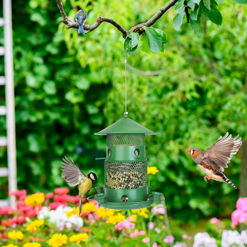 Wild Bird Feeder - Squirrel Proof Metal Hanging Feeder with 360° Perches