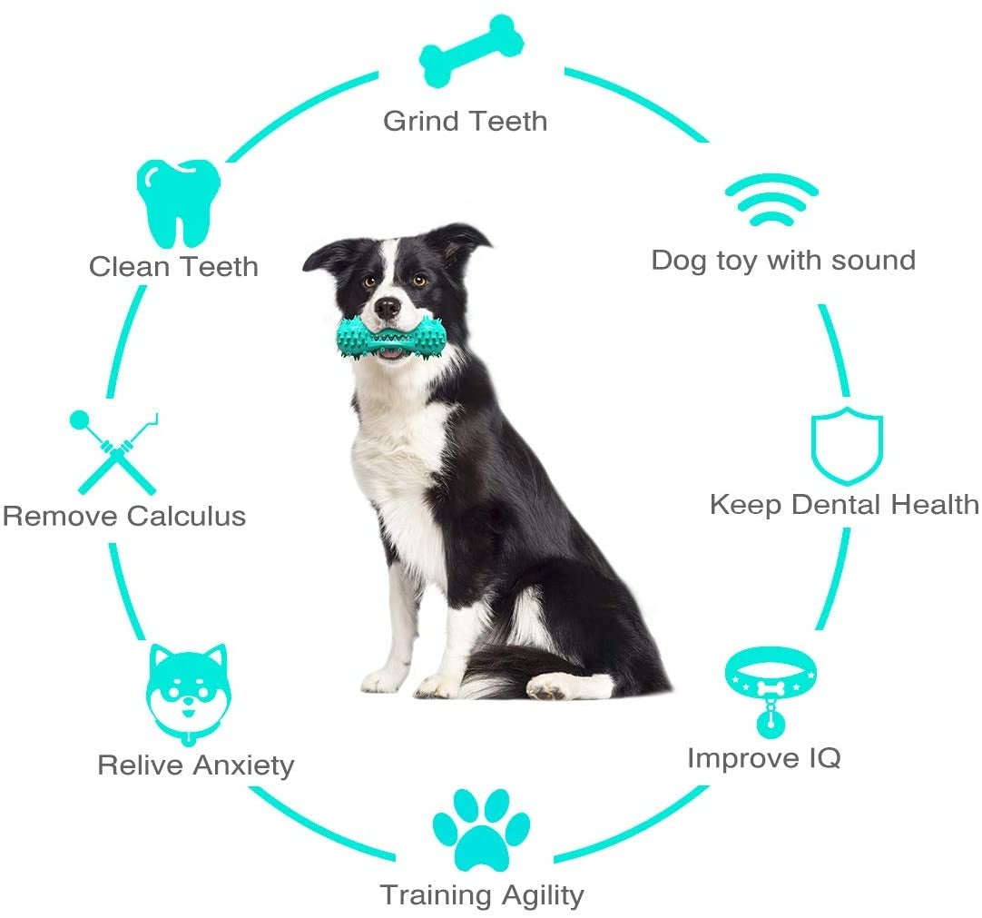 Interactive Dog Toothbrush Chew Toy with Sound