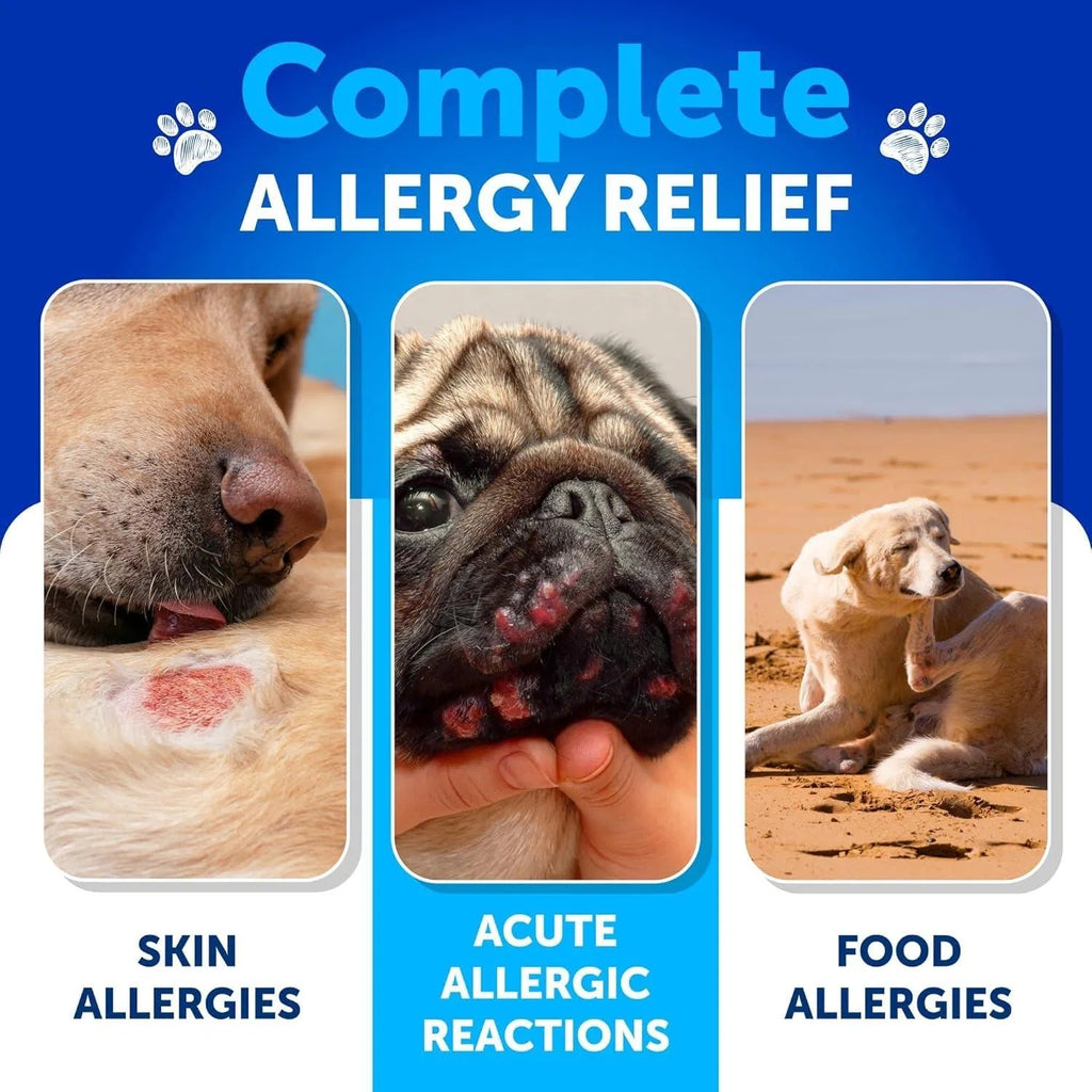 Probiotics for Dogs – Gut Health, Allergy & Immunity Support (180 Chews)
