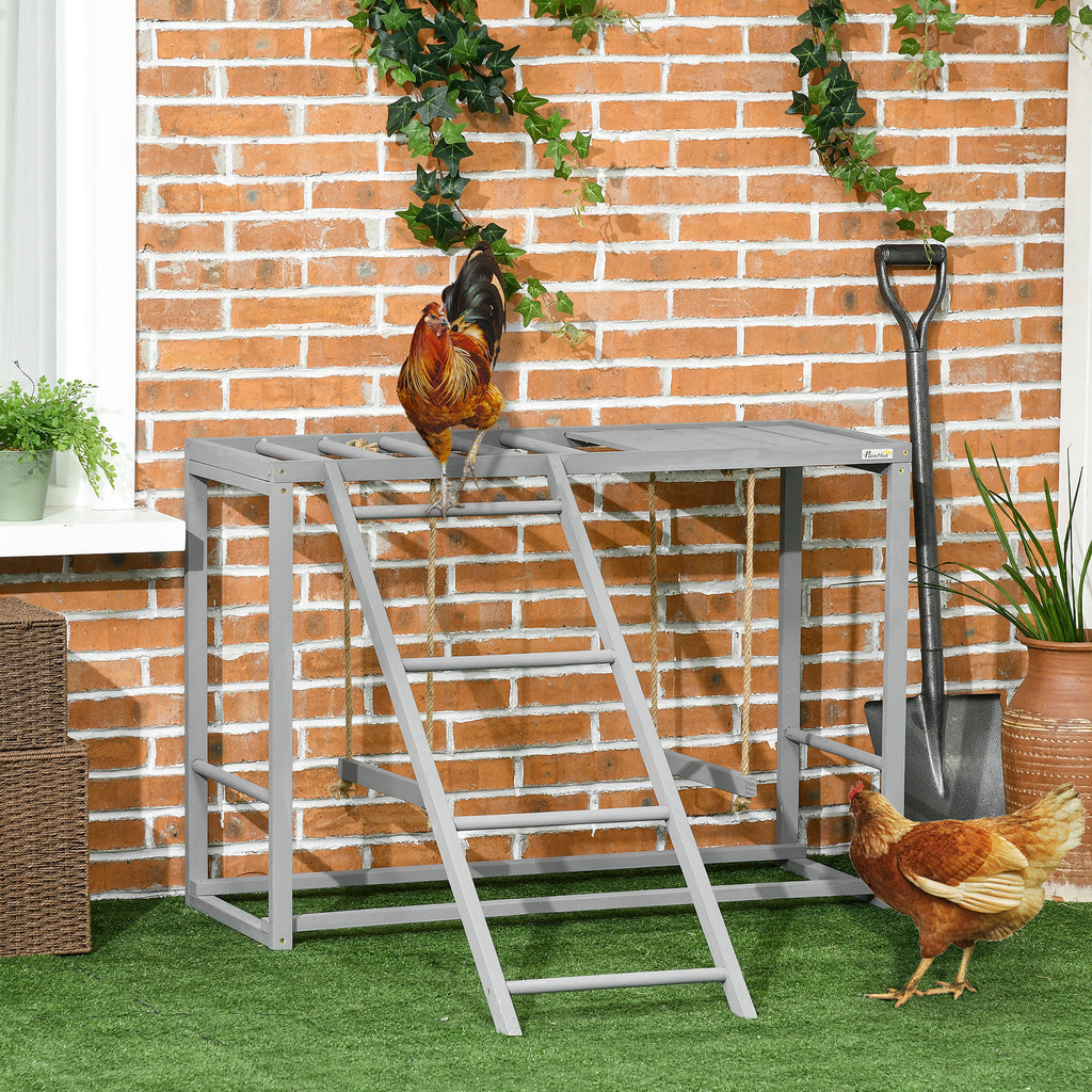 Wooden Chicken Activity Game with Swing Set - Grey