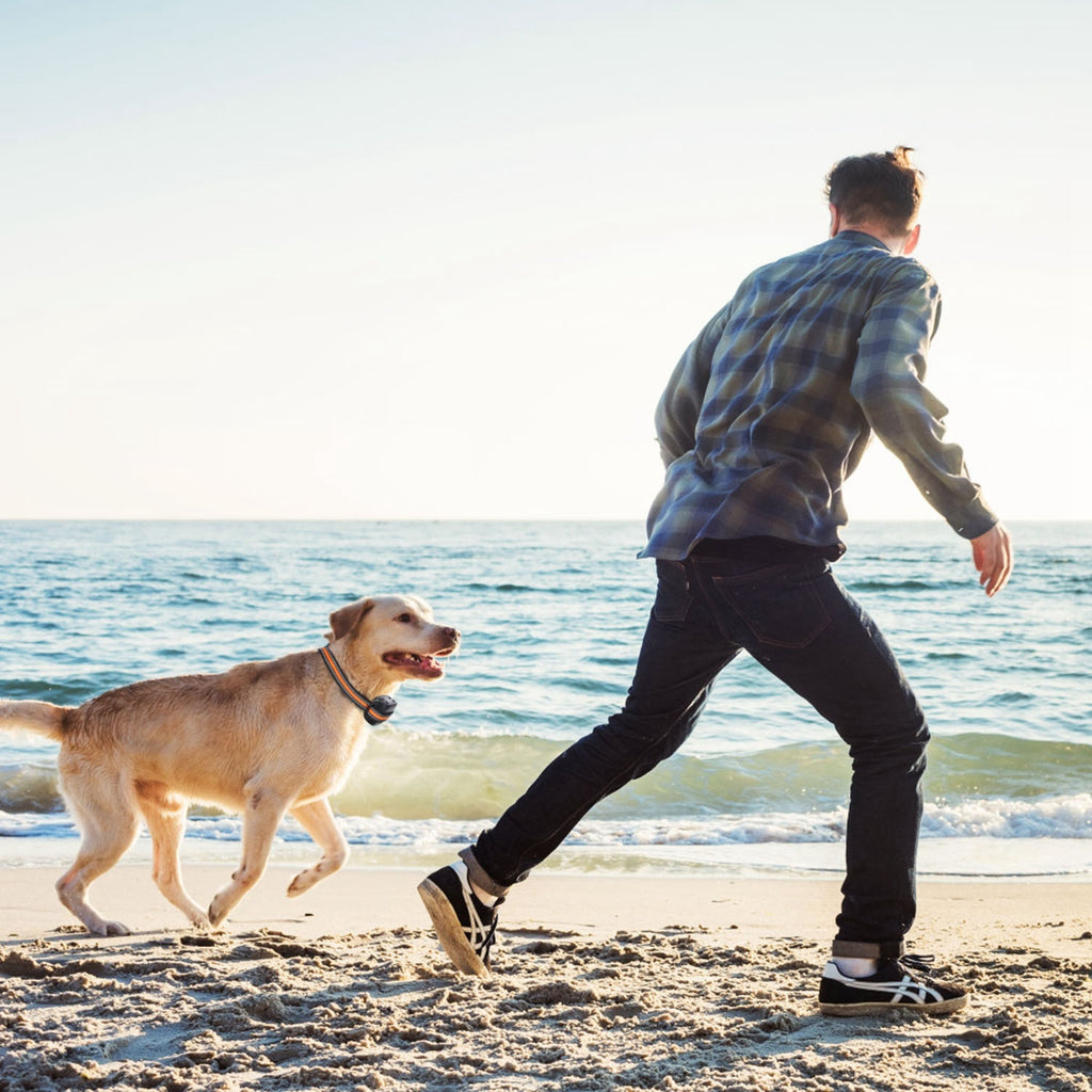 Smart GPS Dog Fence & Tracker - Wireless Boundary System
