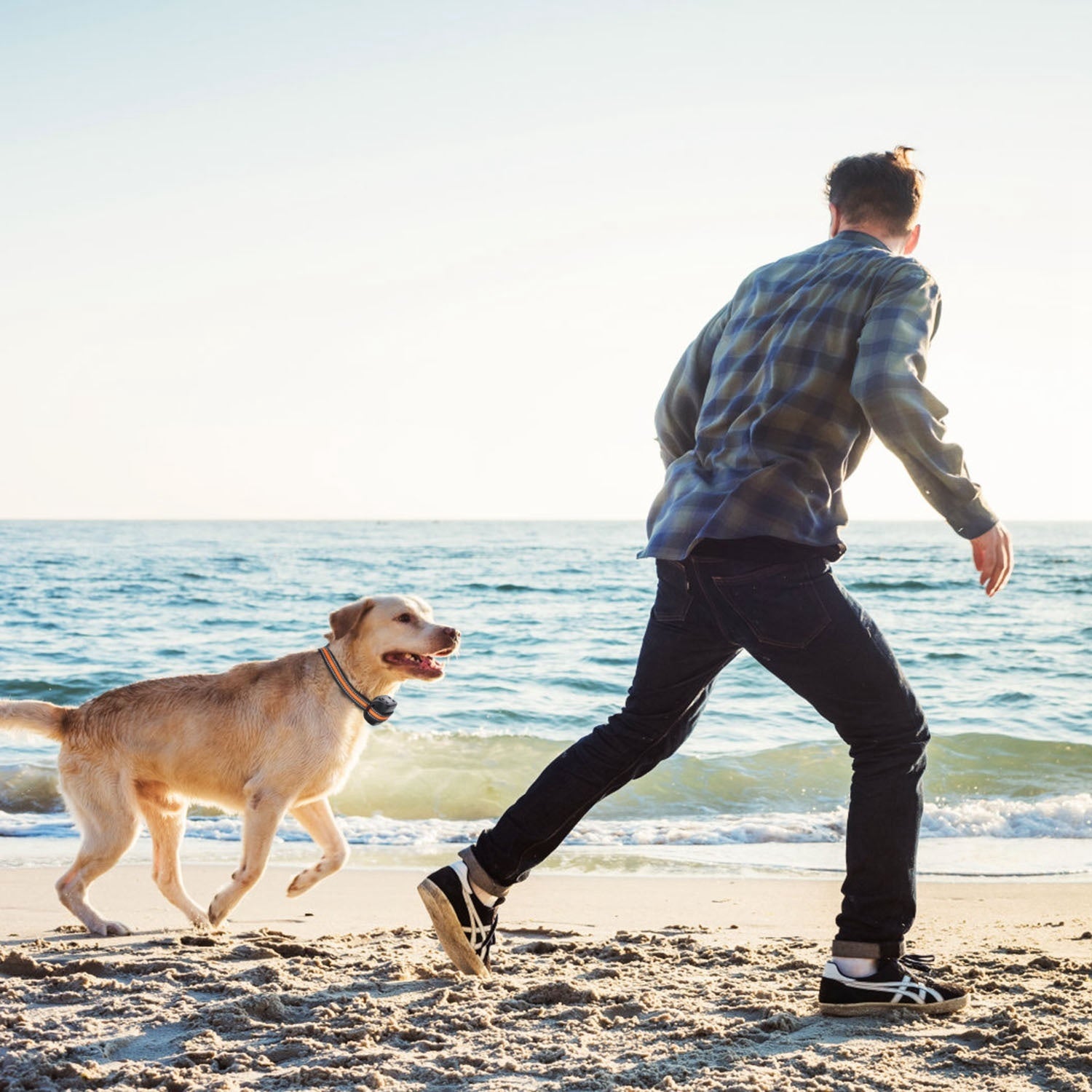 Smart GPS Dog Fence & Tracker - Wireless Boundary System