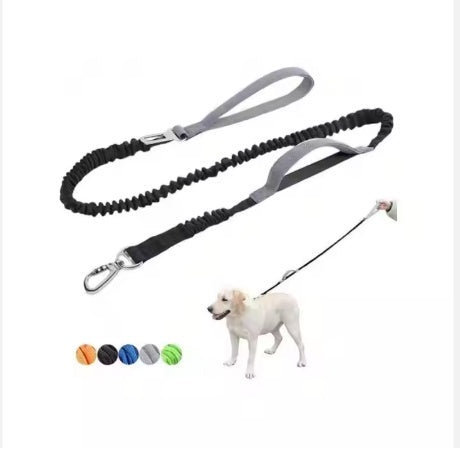 Heavy Duty Dog Leash with Padded Handle - 4-6 Feet