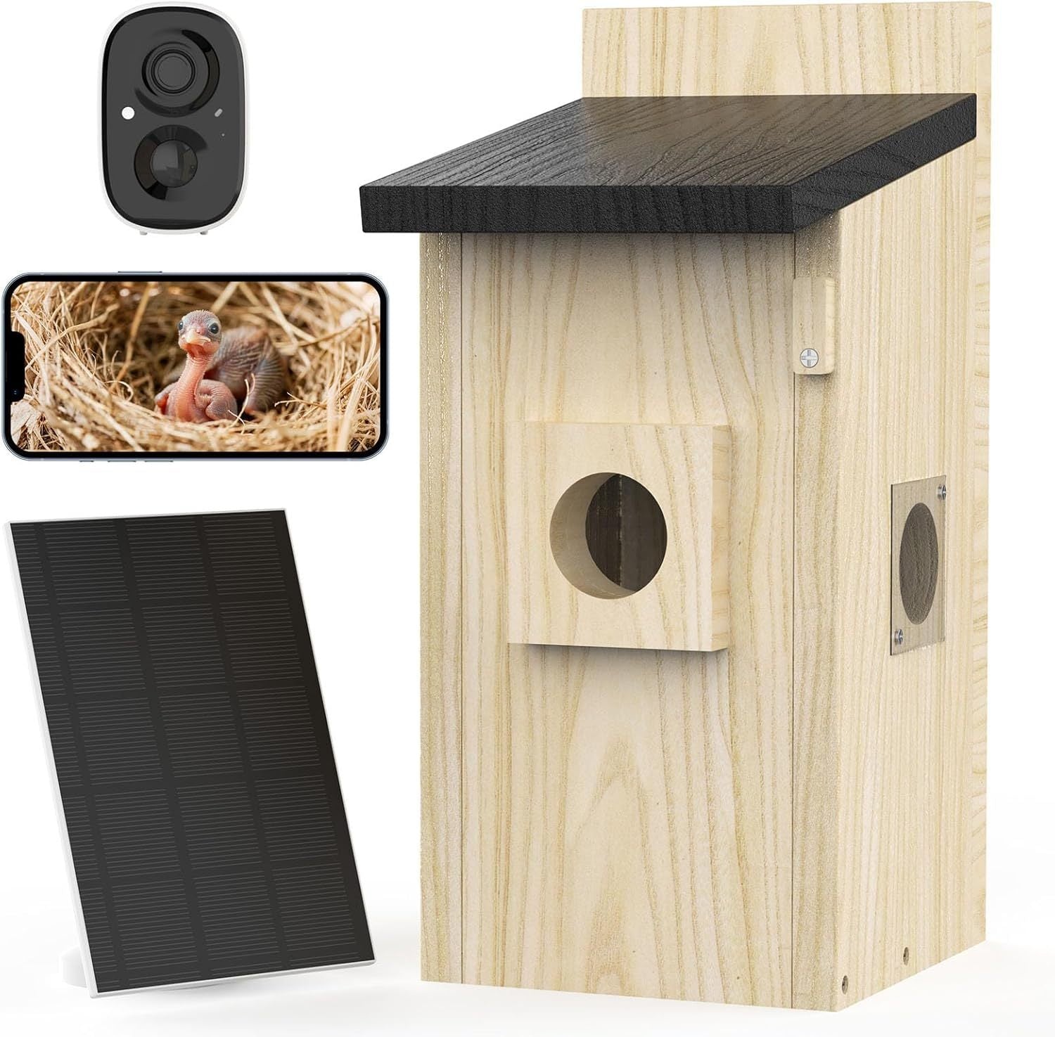 Solar Powered Smart Bird House Camera - 4MP Outdoor Birdhouse with AI Bird Identification