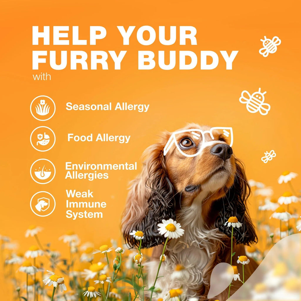 Dog Allergy Relief Chews - Itch & Skin Support with Salmon Oil