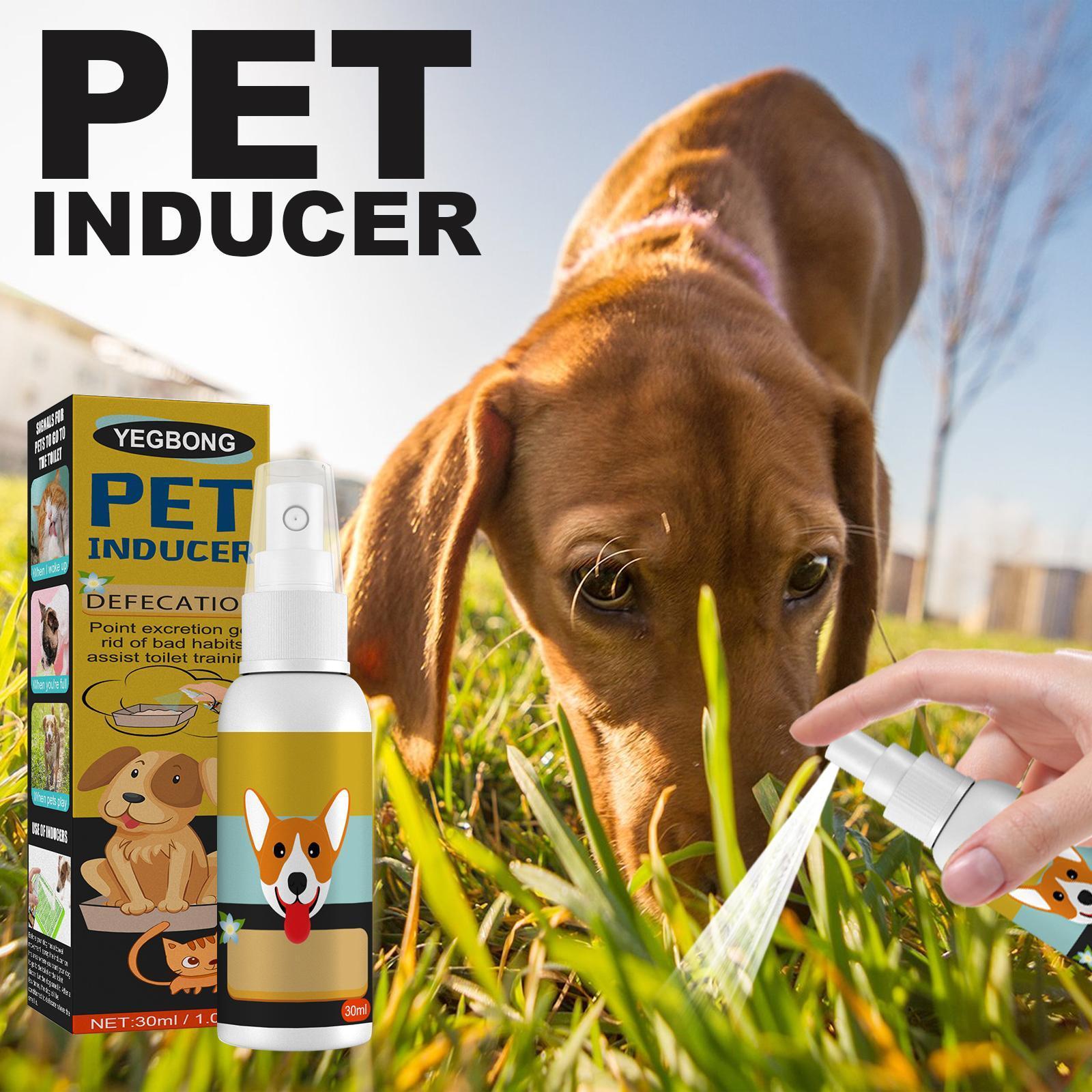 Pet Potty Training Spray - Indoor & Outdoor Positioning Aid for Dogs & Cats