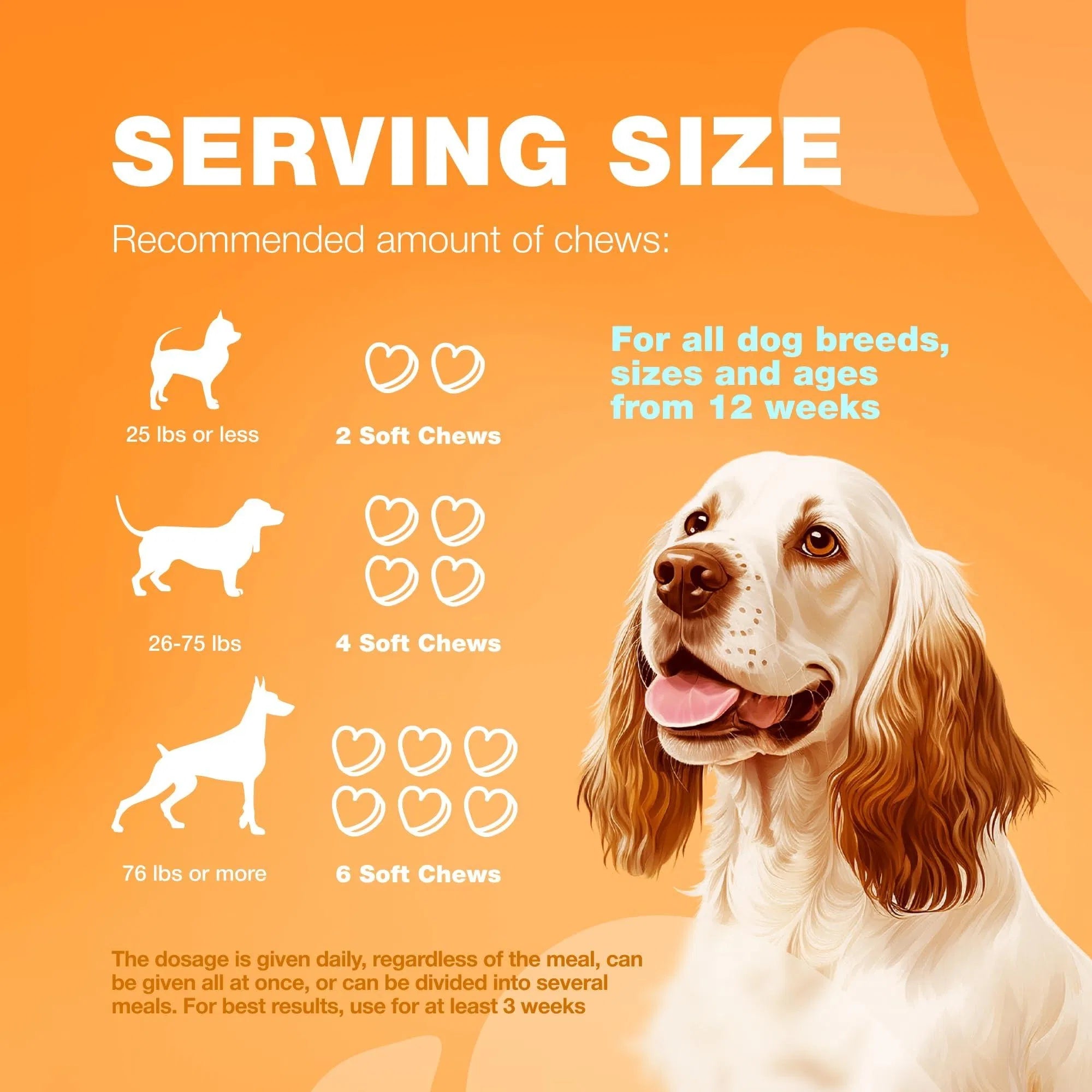 Dog Allergy Relief Chews - Itch & Skin Support with Salmon Oil