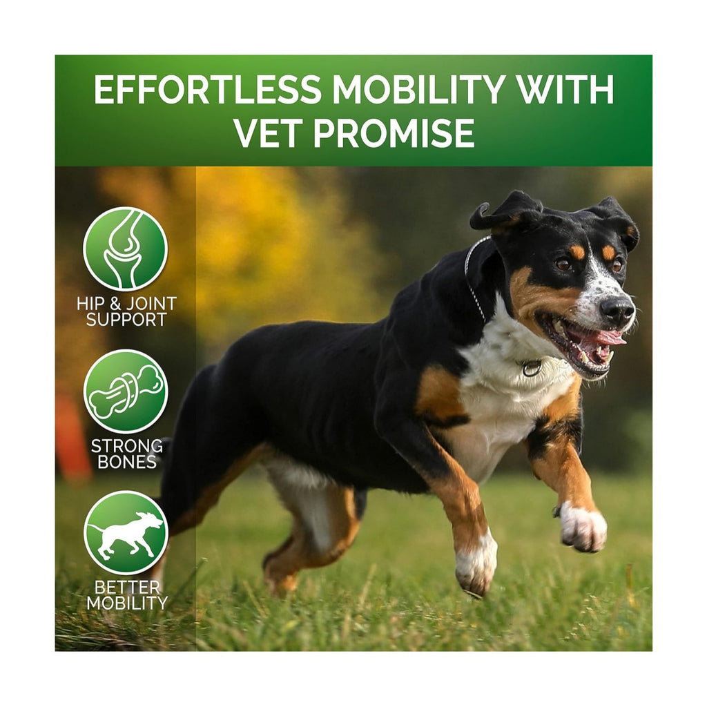 Pet Hip & Joint Support Supplement with Chondroitin – Mobility Formula for Dogs