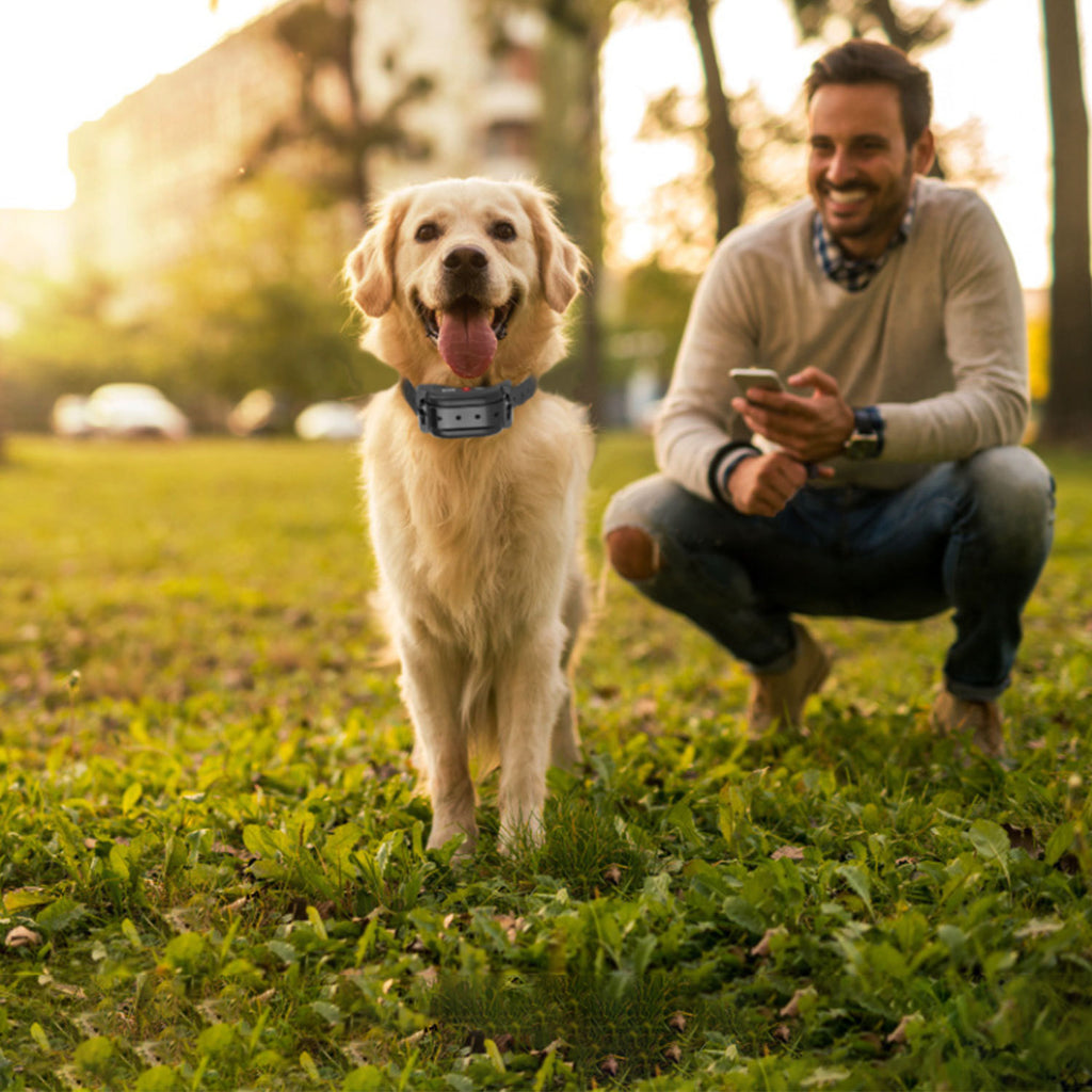 Electric Wireless Dog Fence System with GPS - 328FT Range