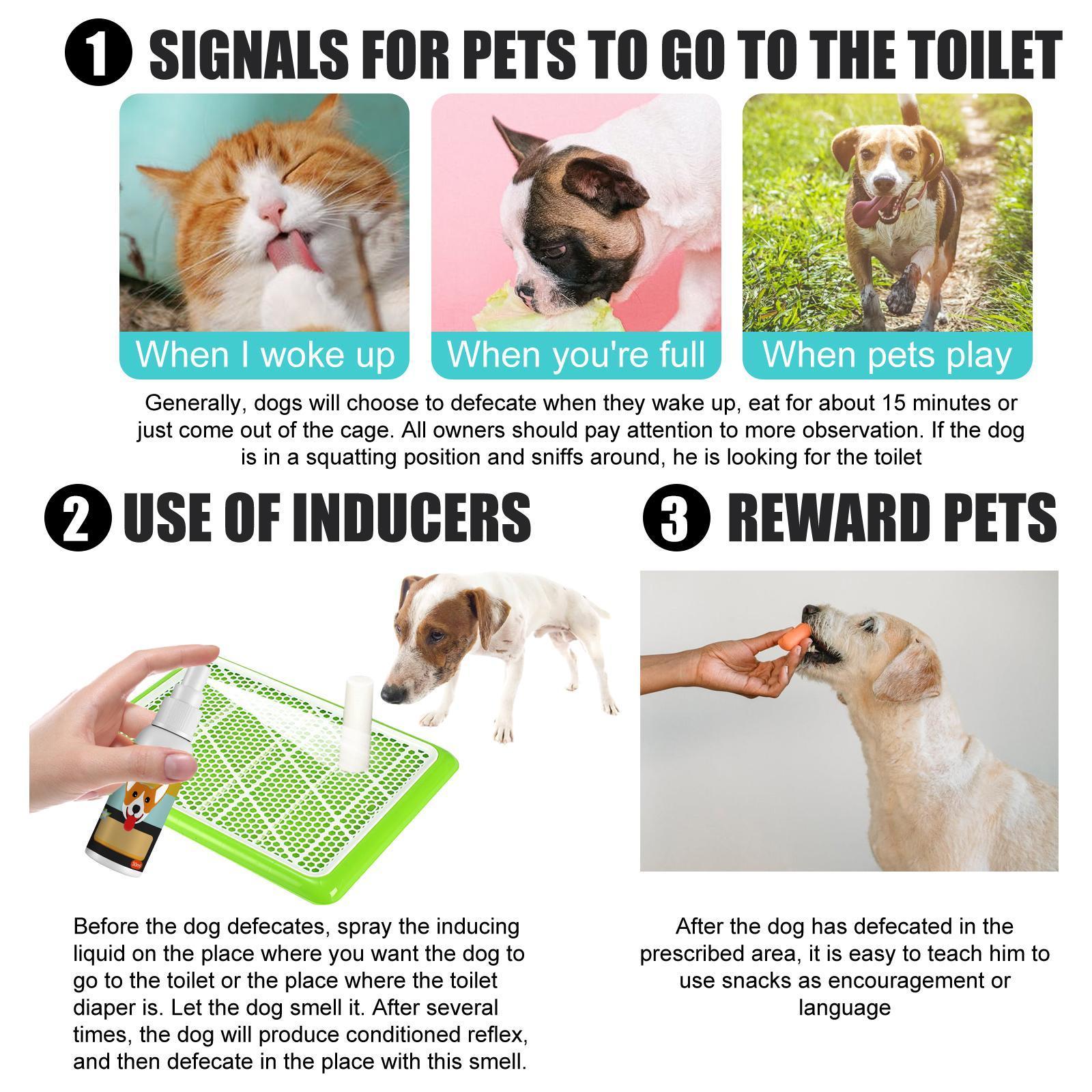 Pet Potty Training Spray - Indoor & Outdoor Positioning Aid for Dogs & Cats