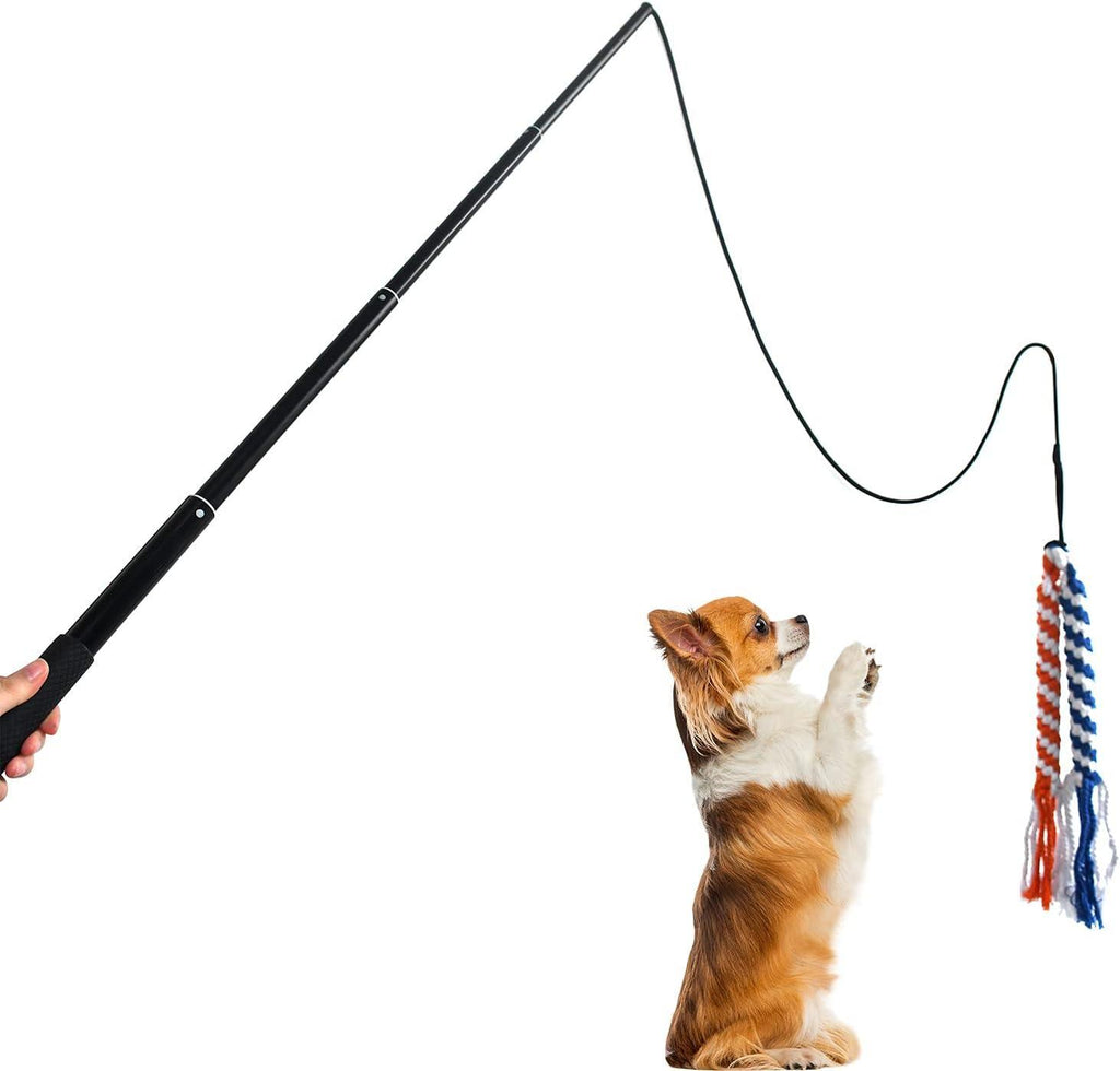 Extendable Dog Teaser Wand - Interactive Flirt Pole Toy