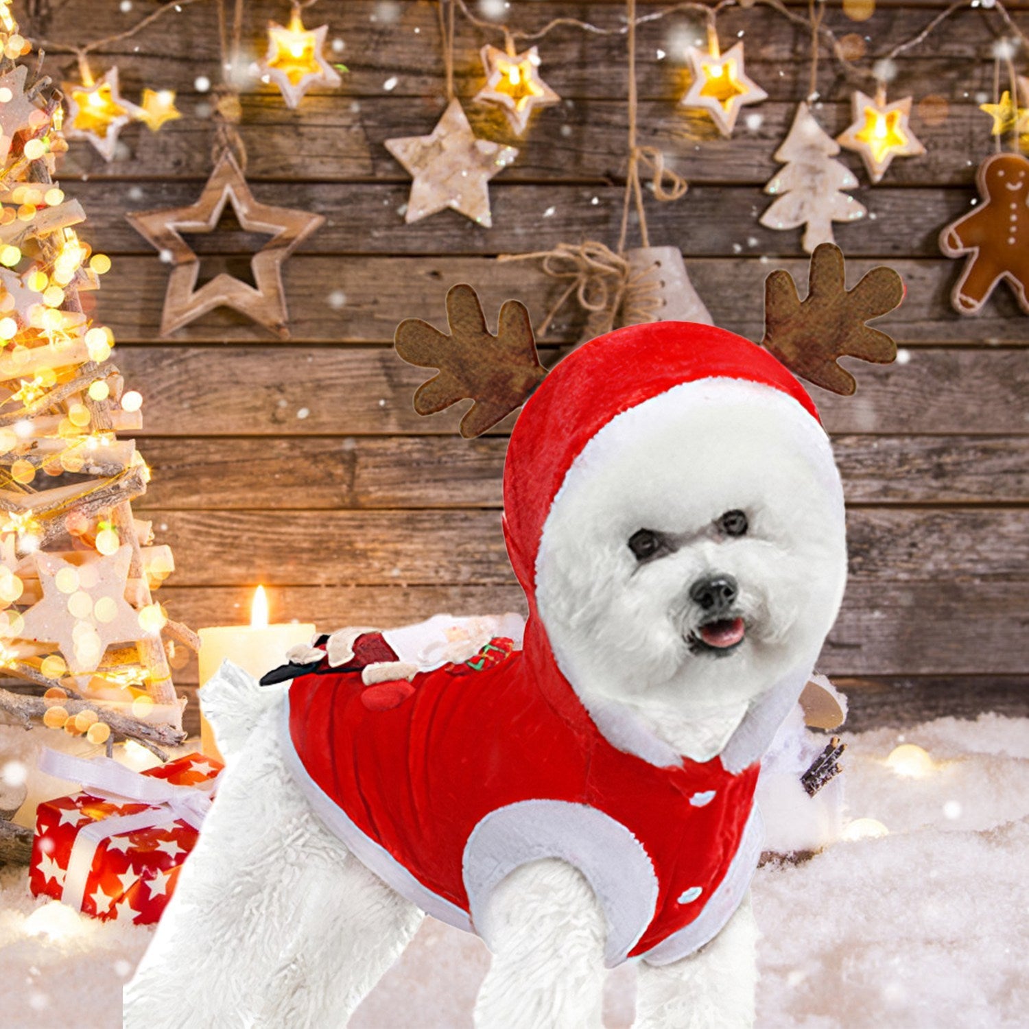 Pet Christmas Santa Costume with Reindeer Antlers
