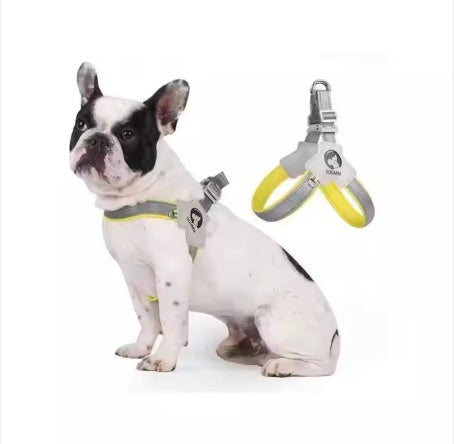 Adjustable Reflective Dog Harness with Leash Set