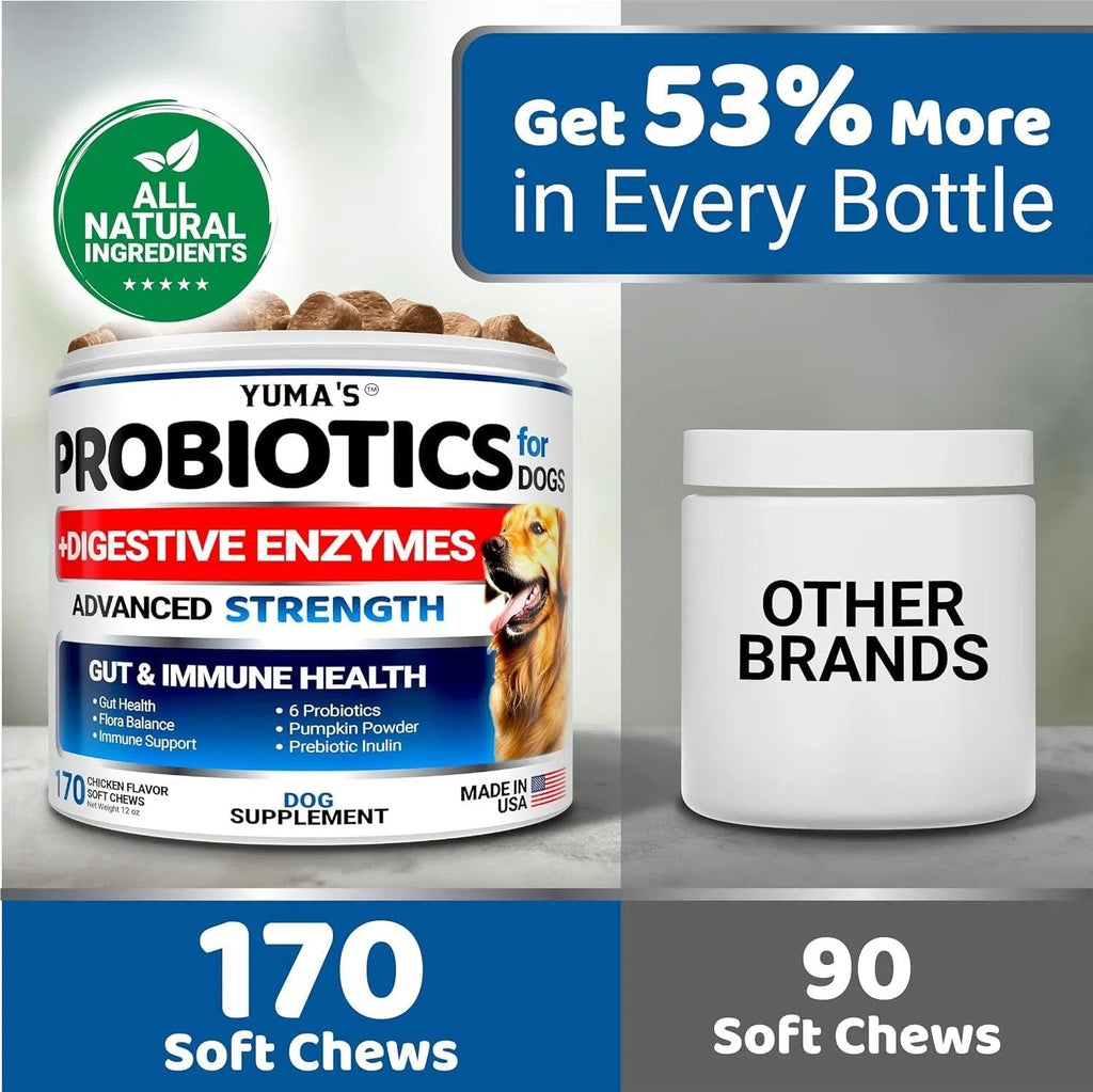 Probiotics for Dogs – 2 Pack Digestive Enzymes Chews (340 Total Chews)