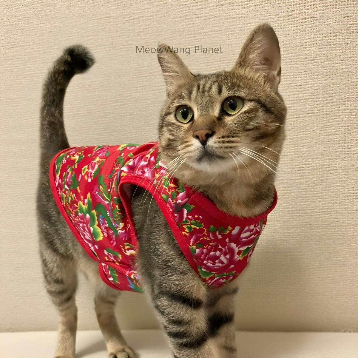 Premium Lightweight Summer Pet Vest - Chinese Floral Design