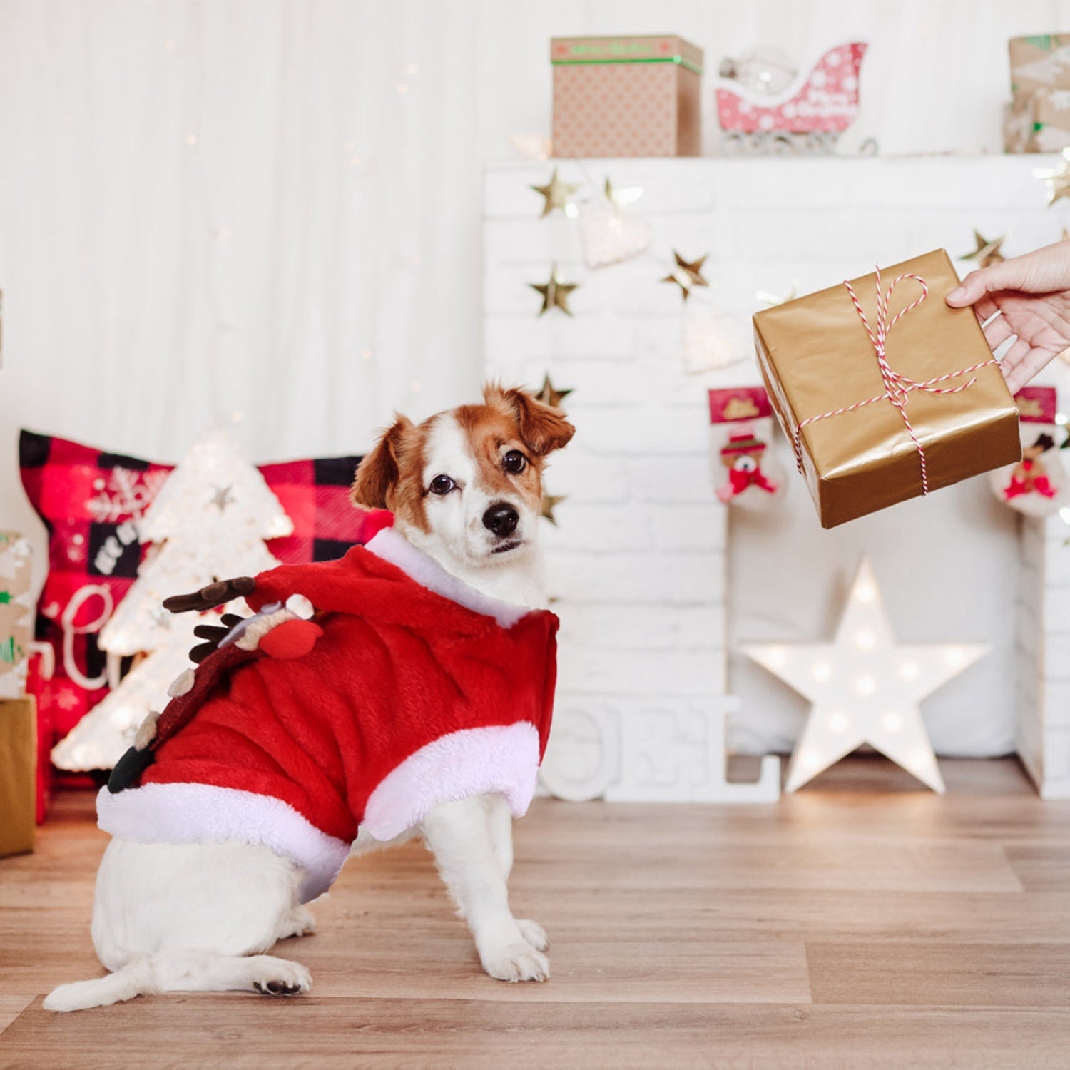 Pet Christmas Santa Costume with Reindeer Antlers