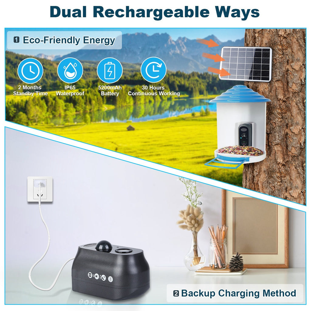Smart Solar Bird Feeder with HD Camera