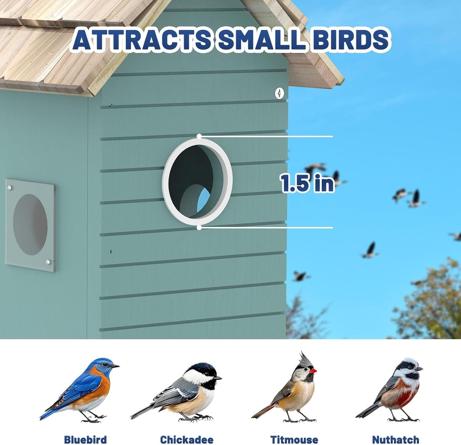Smart Bird House with AI Camera - 3MP HD Bird Feeder with Species Identification