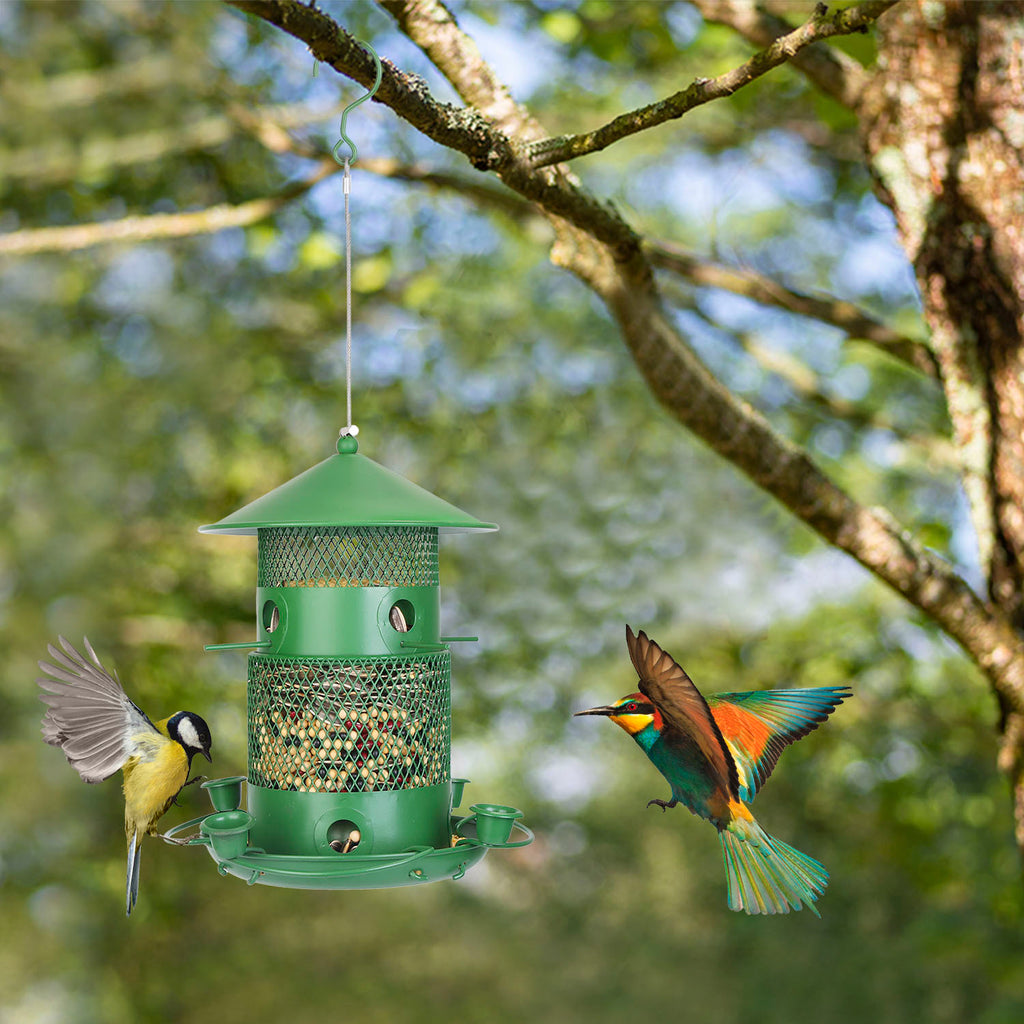 Wild Bird Feeder - Squirrel Proof Metal Hanging Feeder with 360° Perches