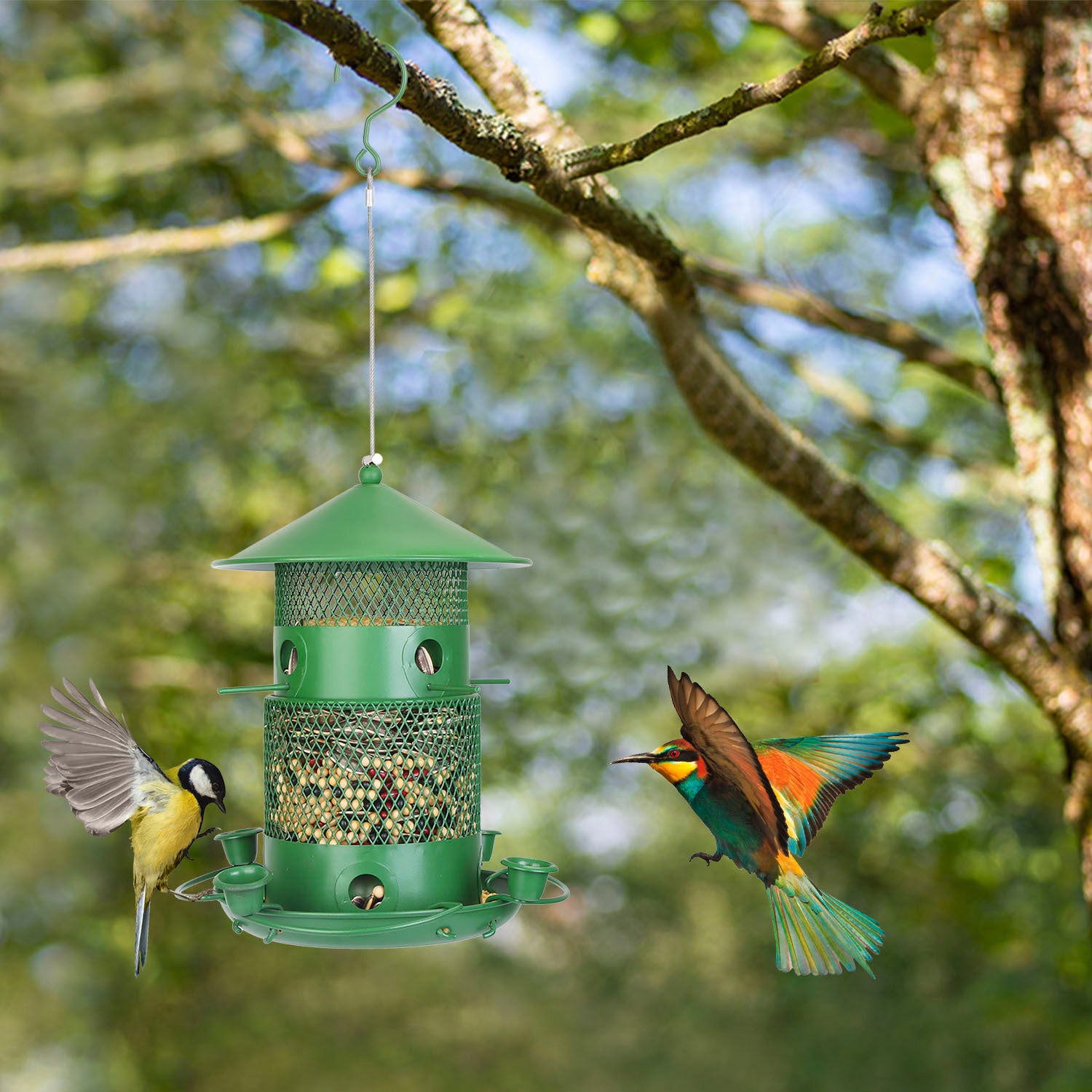 Wild Bird Feeder - Squirrel Proof Metal Hanging Feeder with 360° Perches