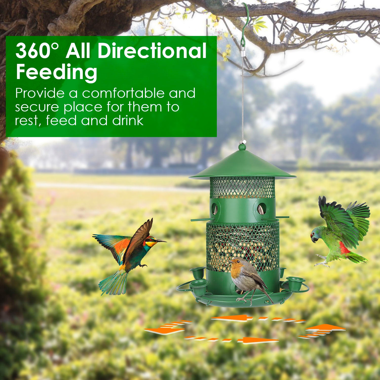 Wild Bird Feeder - Squirrel Proof Metal Hanging Feeder with 360° Perches