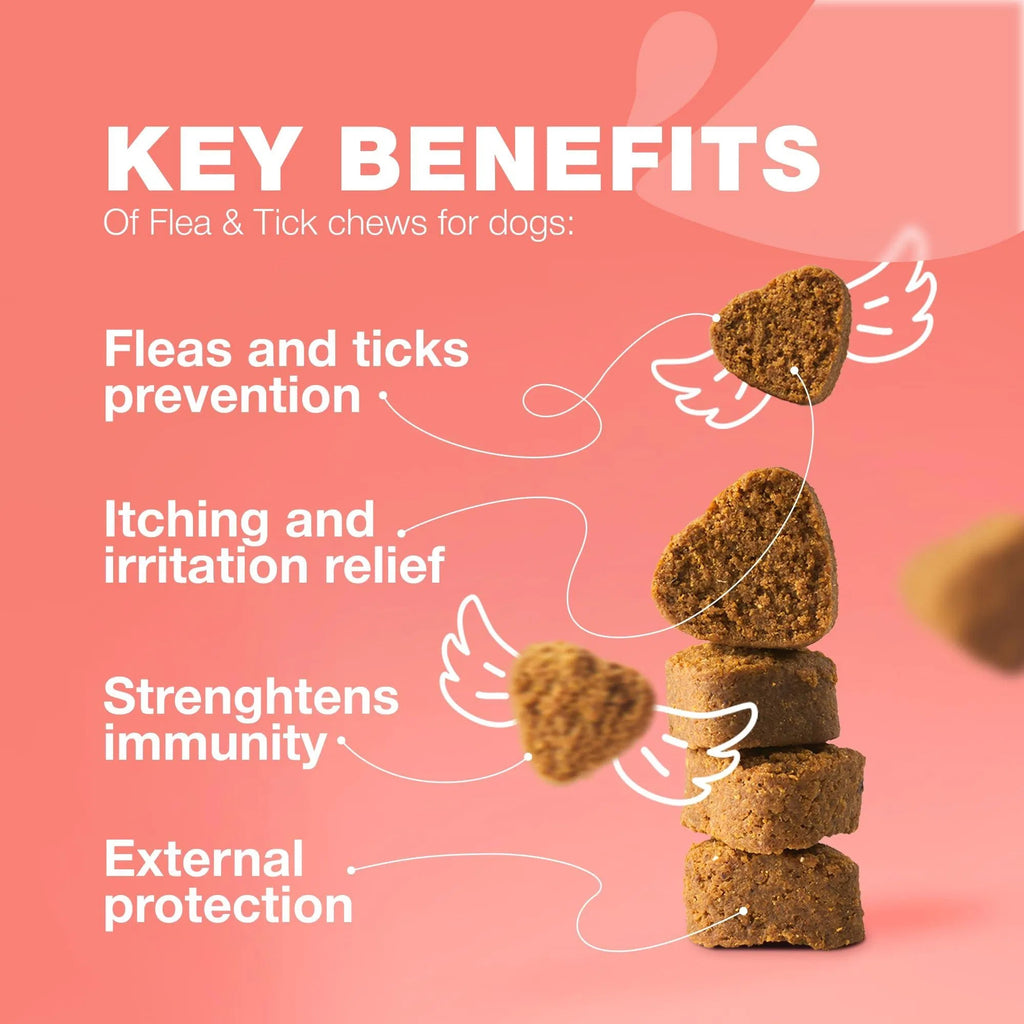 Natural Flea & Tick Prevention Chews for Dogs - Chemical-Free Immune Support Treats